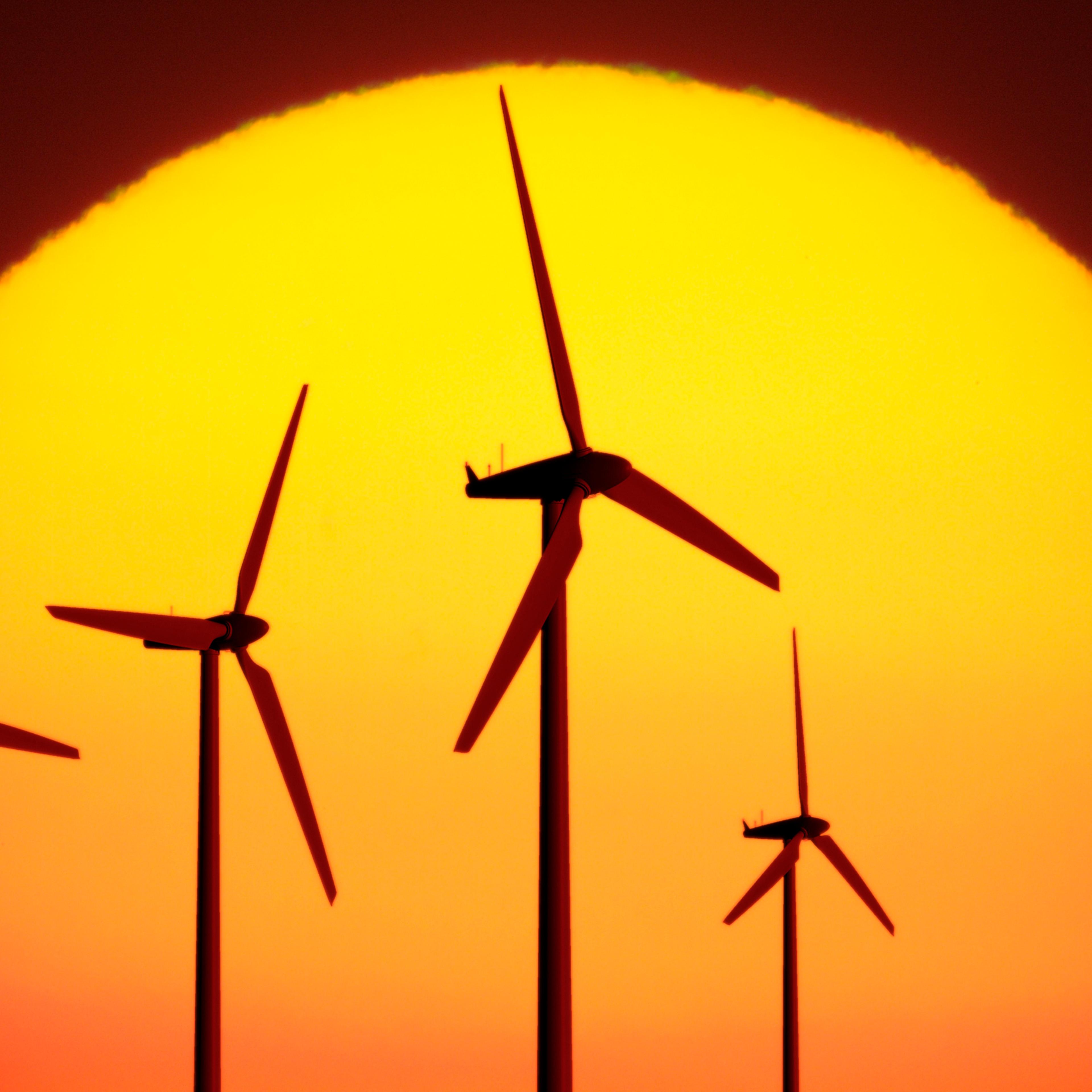 Wind turbines and the Sun, artwork
