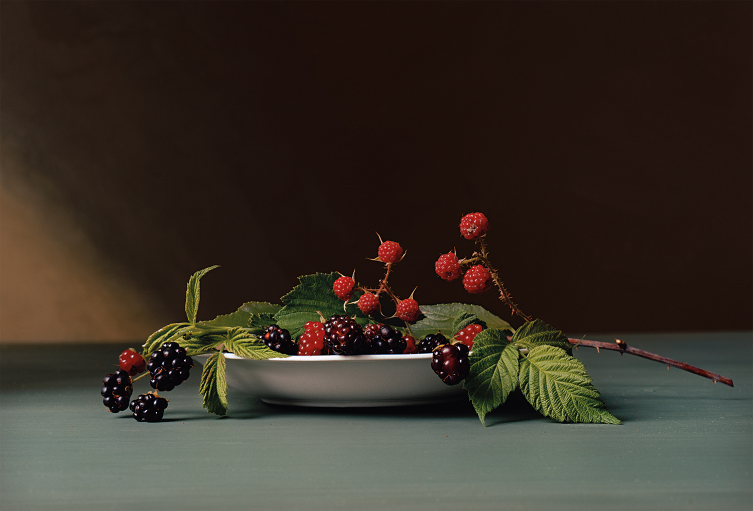 Plate 2 - Blackberries