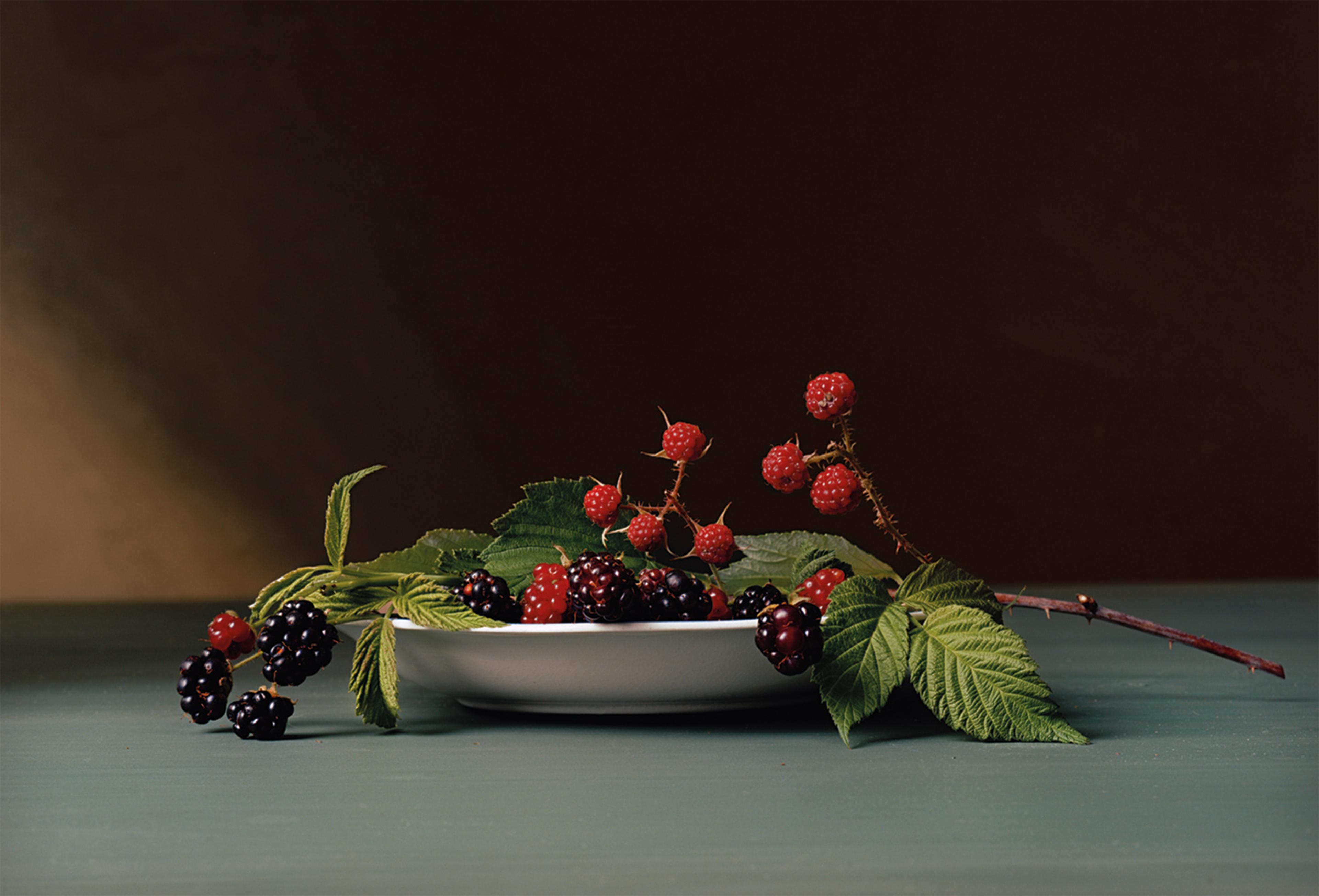 Plate 2 - Blackberries