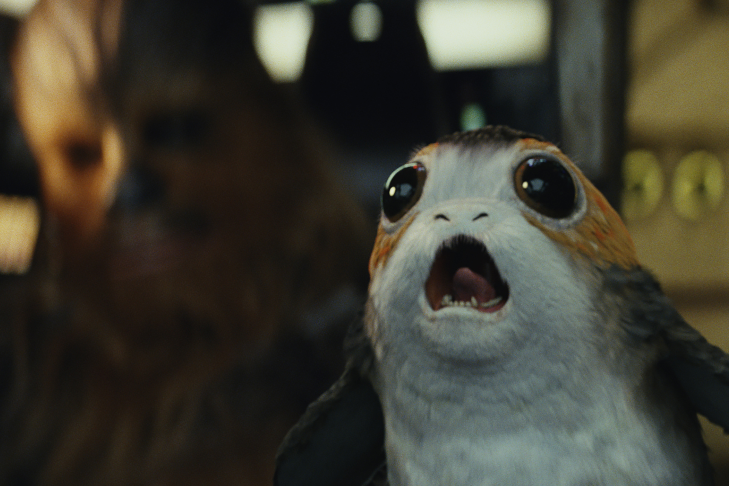 star-wars-the-last-jedi-porg-chewbacca