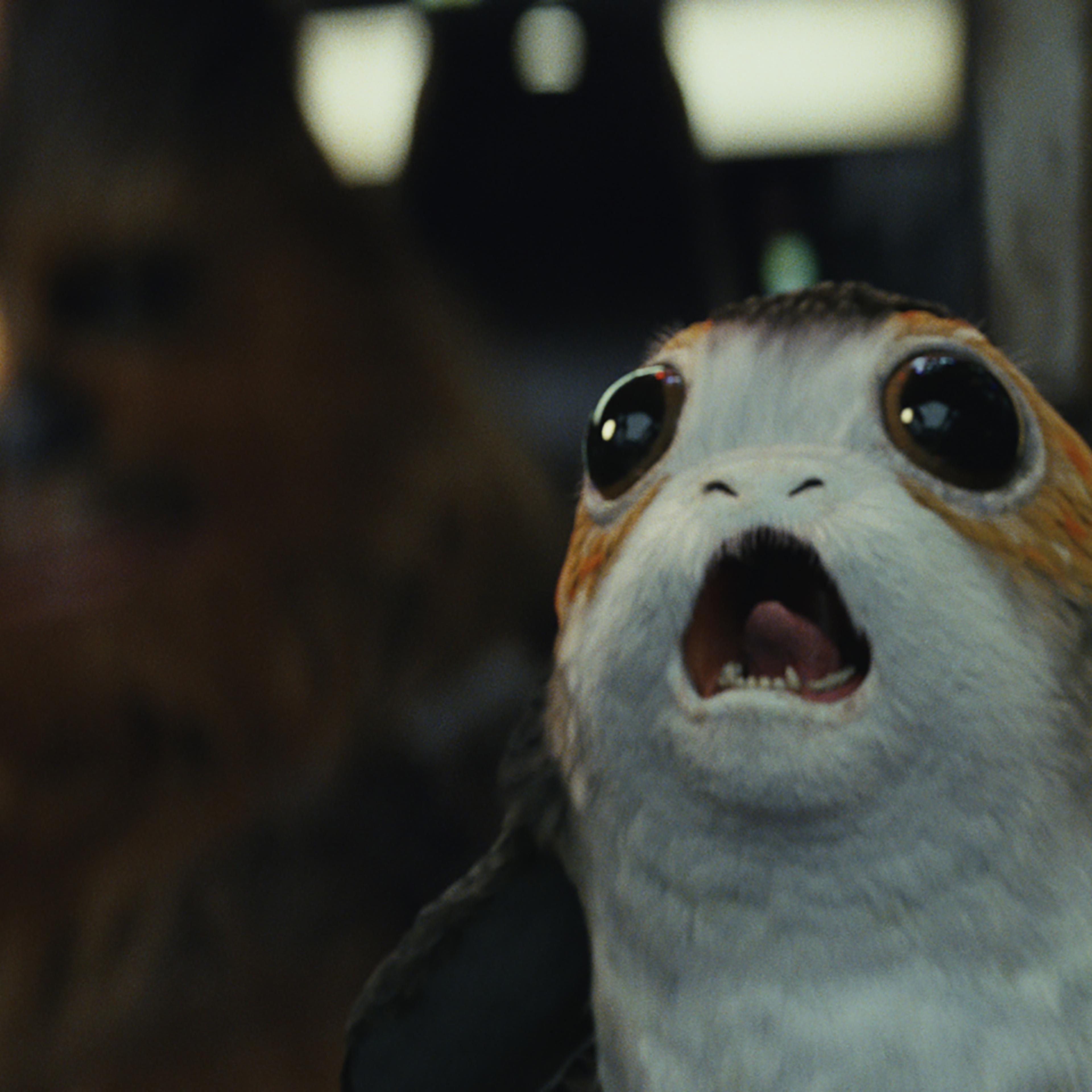 star-wars-the-last-jedi-porg-chewbacca
