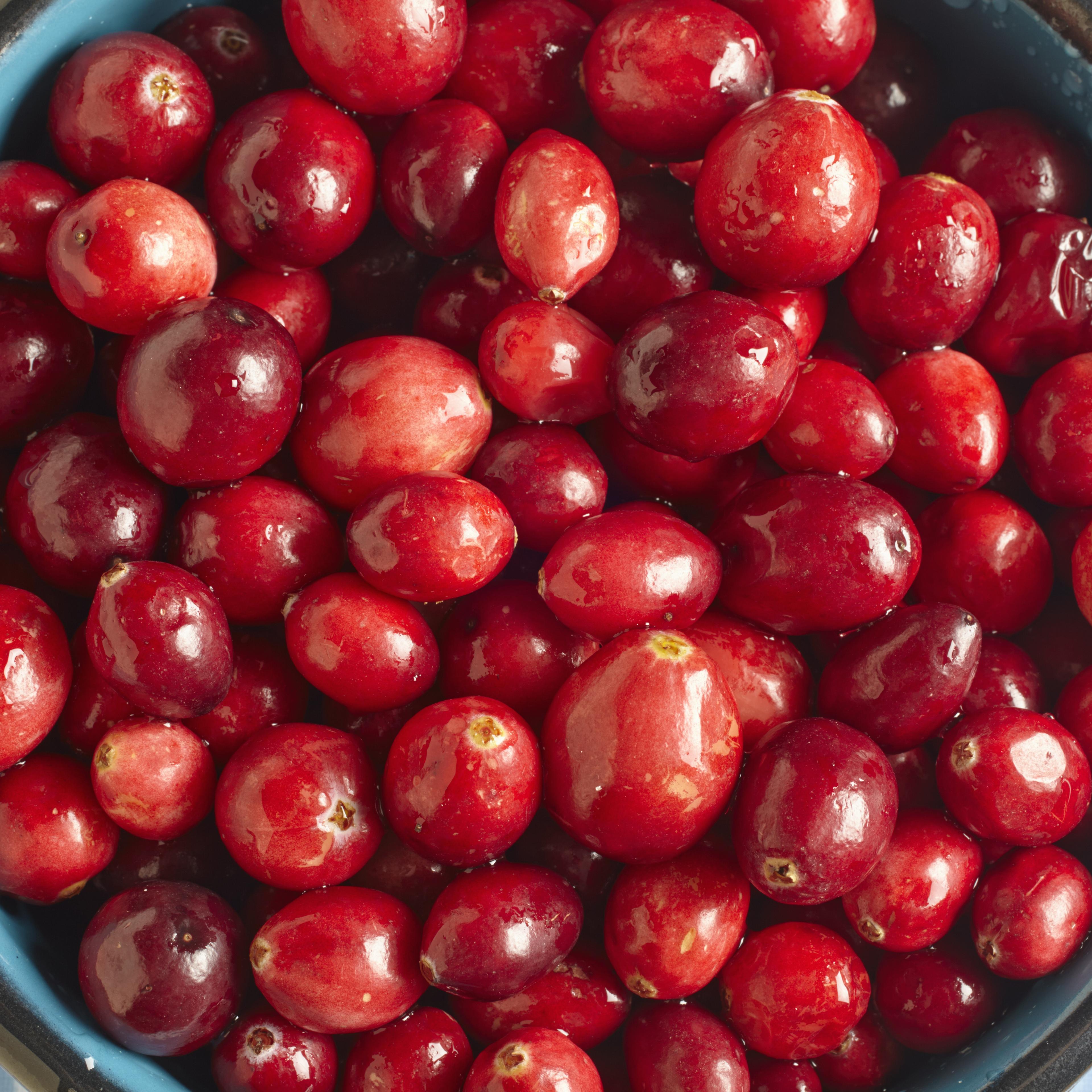 cranberry-cranberries