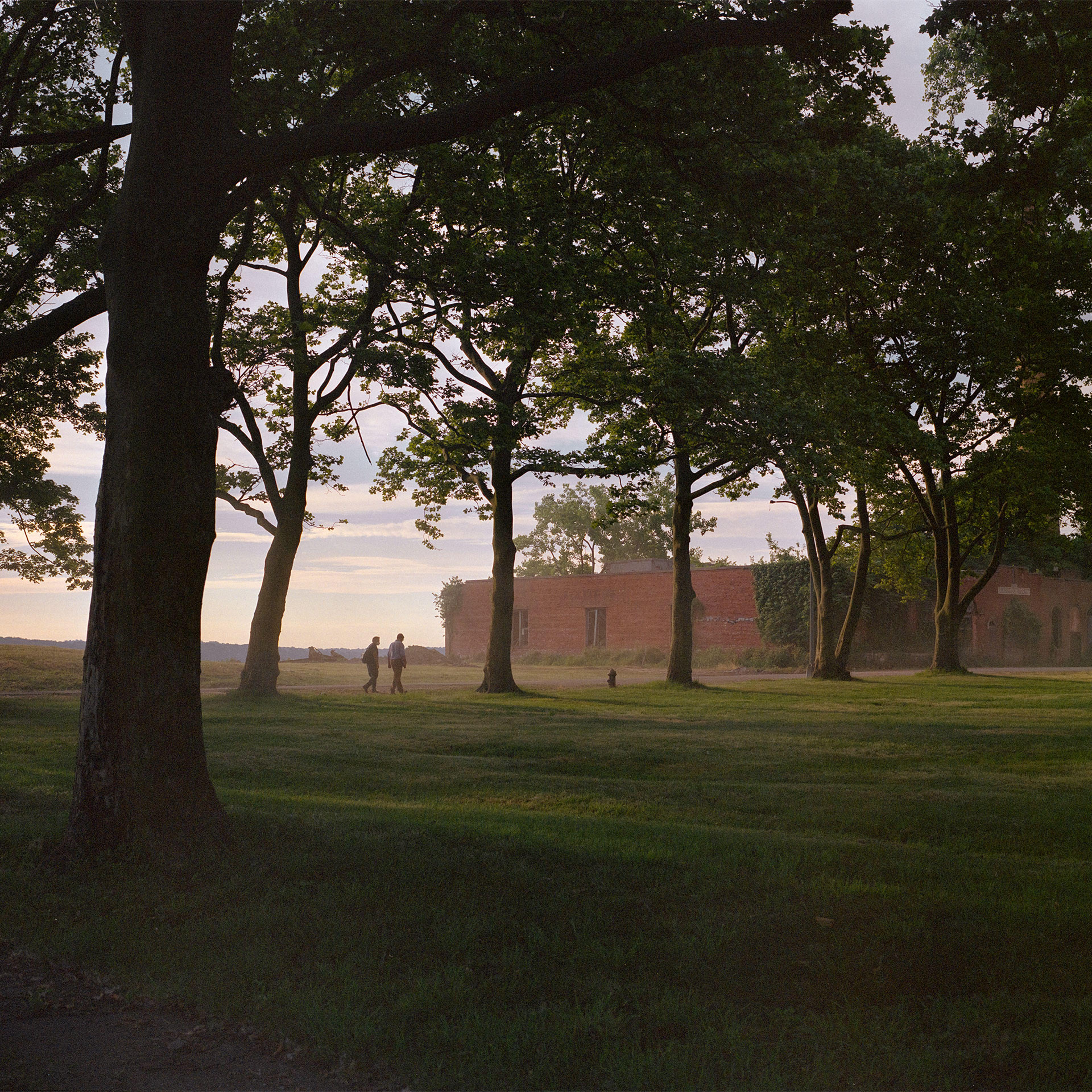Hart Island Ellen Torron