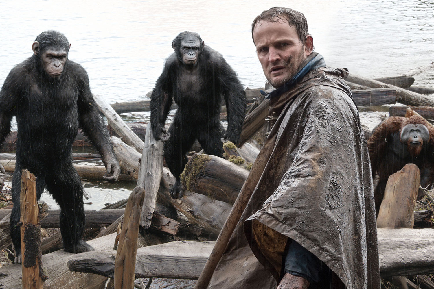 DAWN OF THE PLANET OF THE APES
