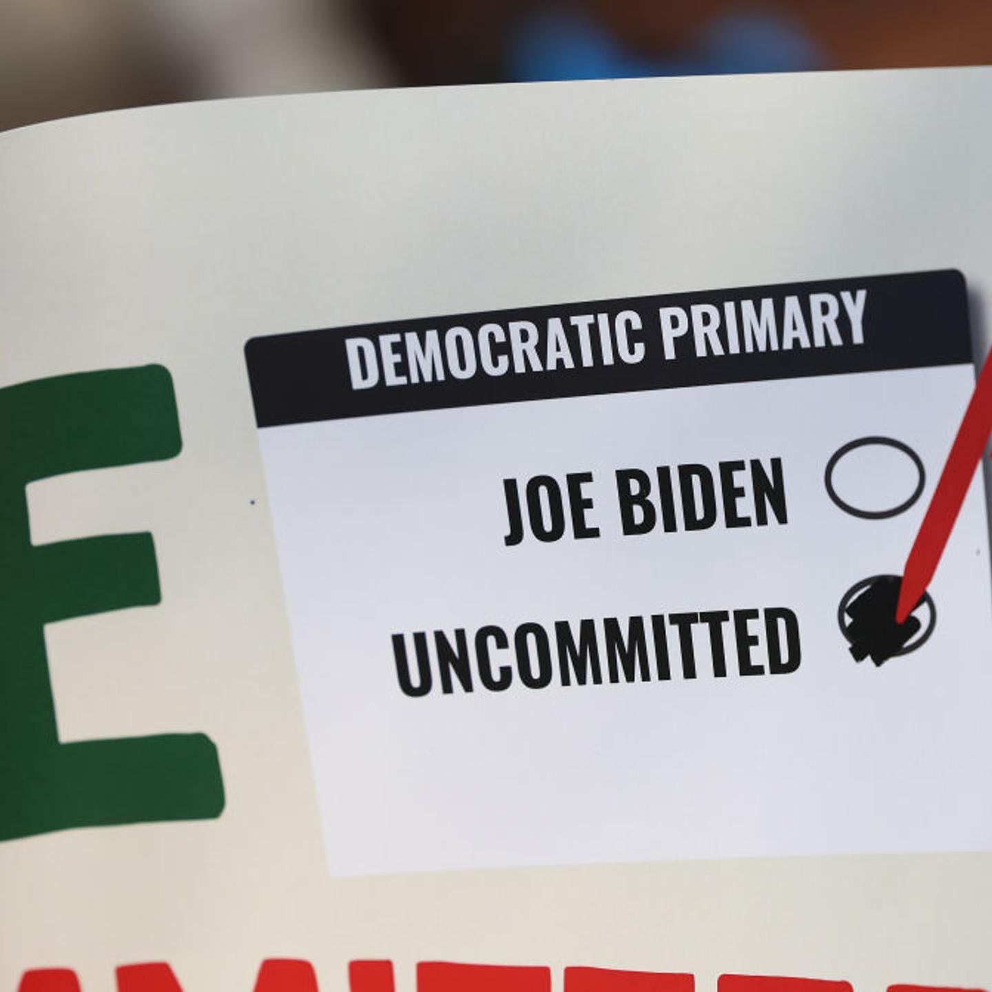 Michigan Holds Its Primary Election