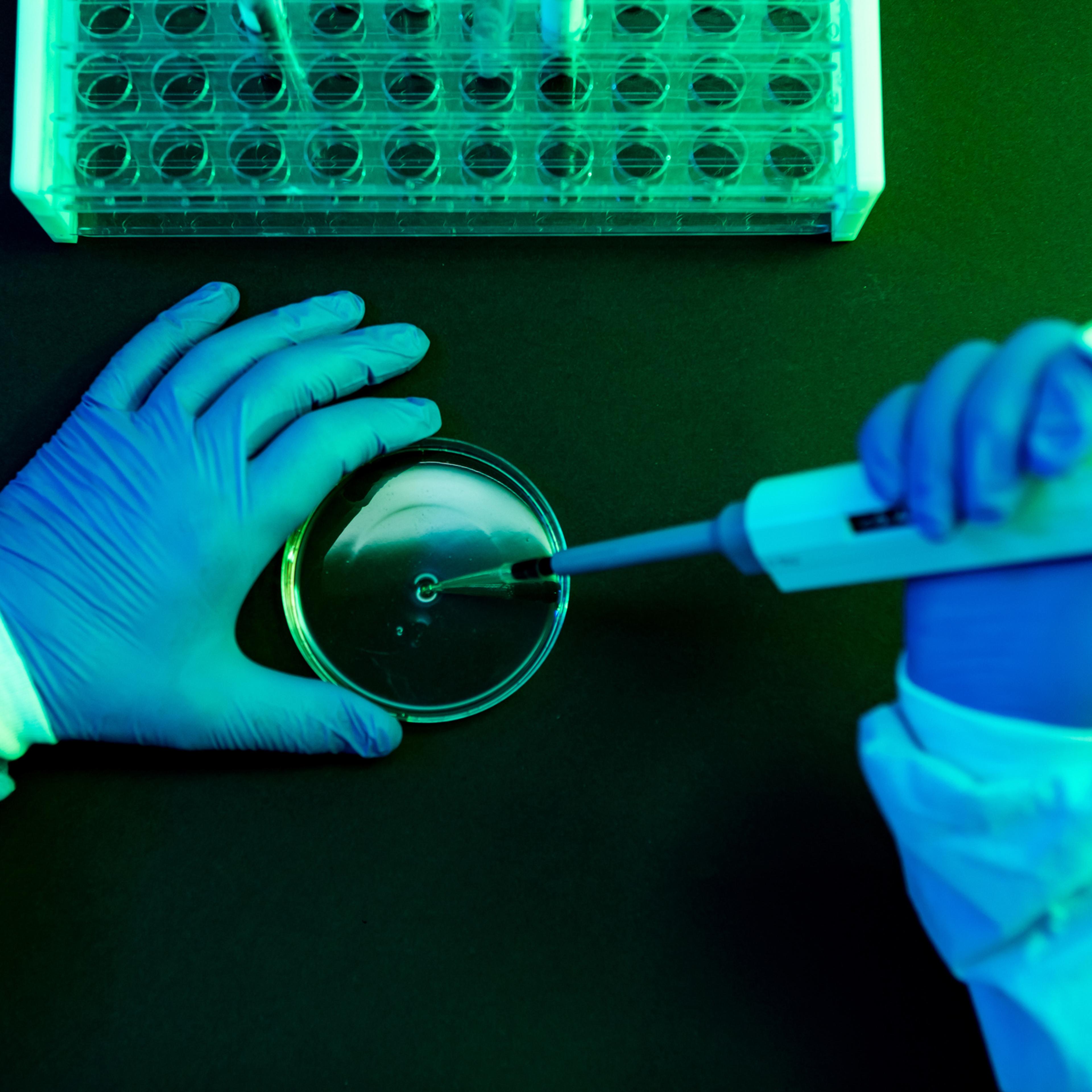 Aerial view of the hands of a scientist pouring fluid with the pipette into a petri dish in a laboratory with a green atmosphere.