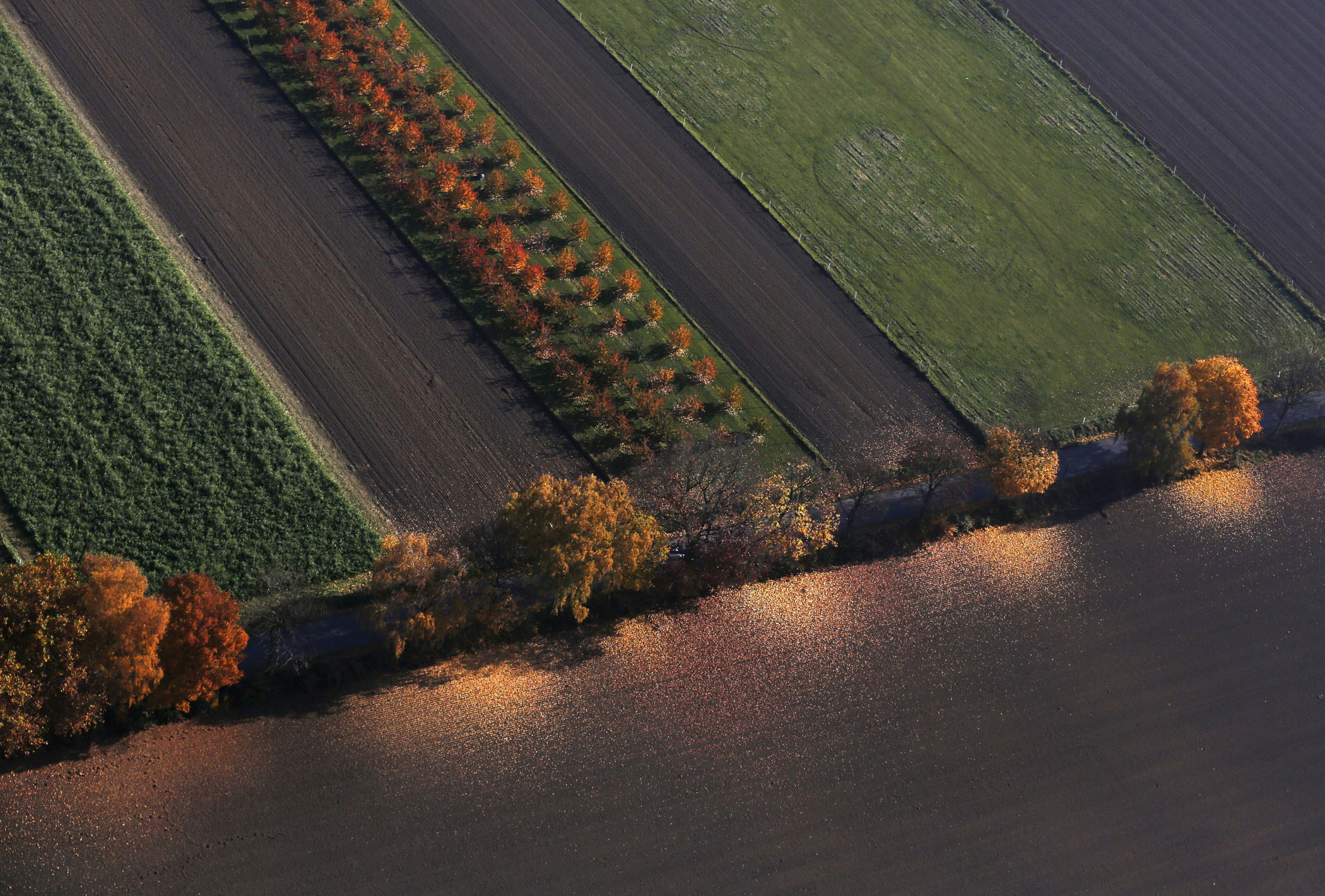 See the Breathtaking Colors of Germany in Autumn
