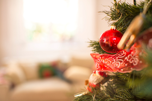 Close up of christmas tree in sitting room