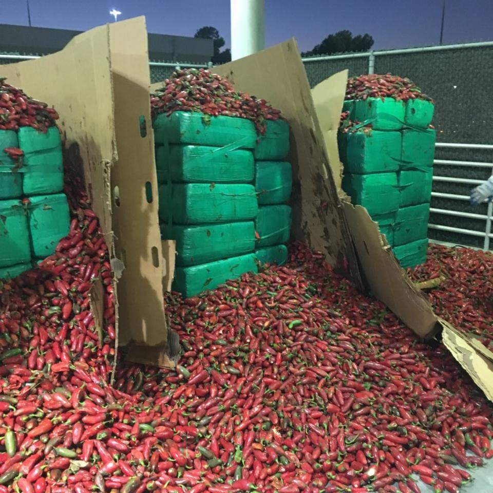 Marijuana Seized Jalapeno Peppers