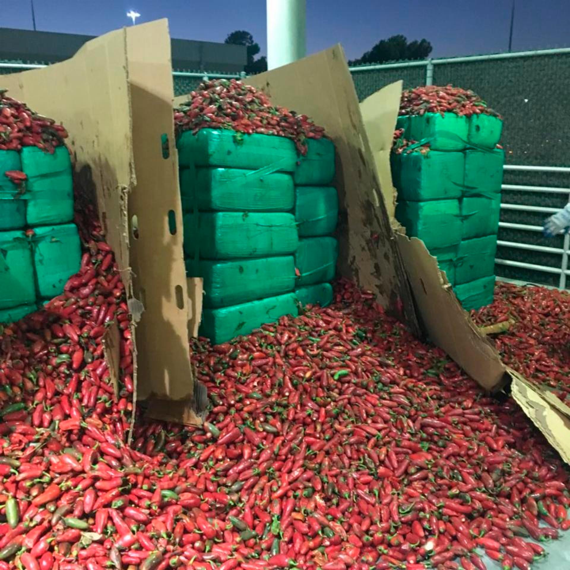 Marijuana Seized Jalapeno Peppers
