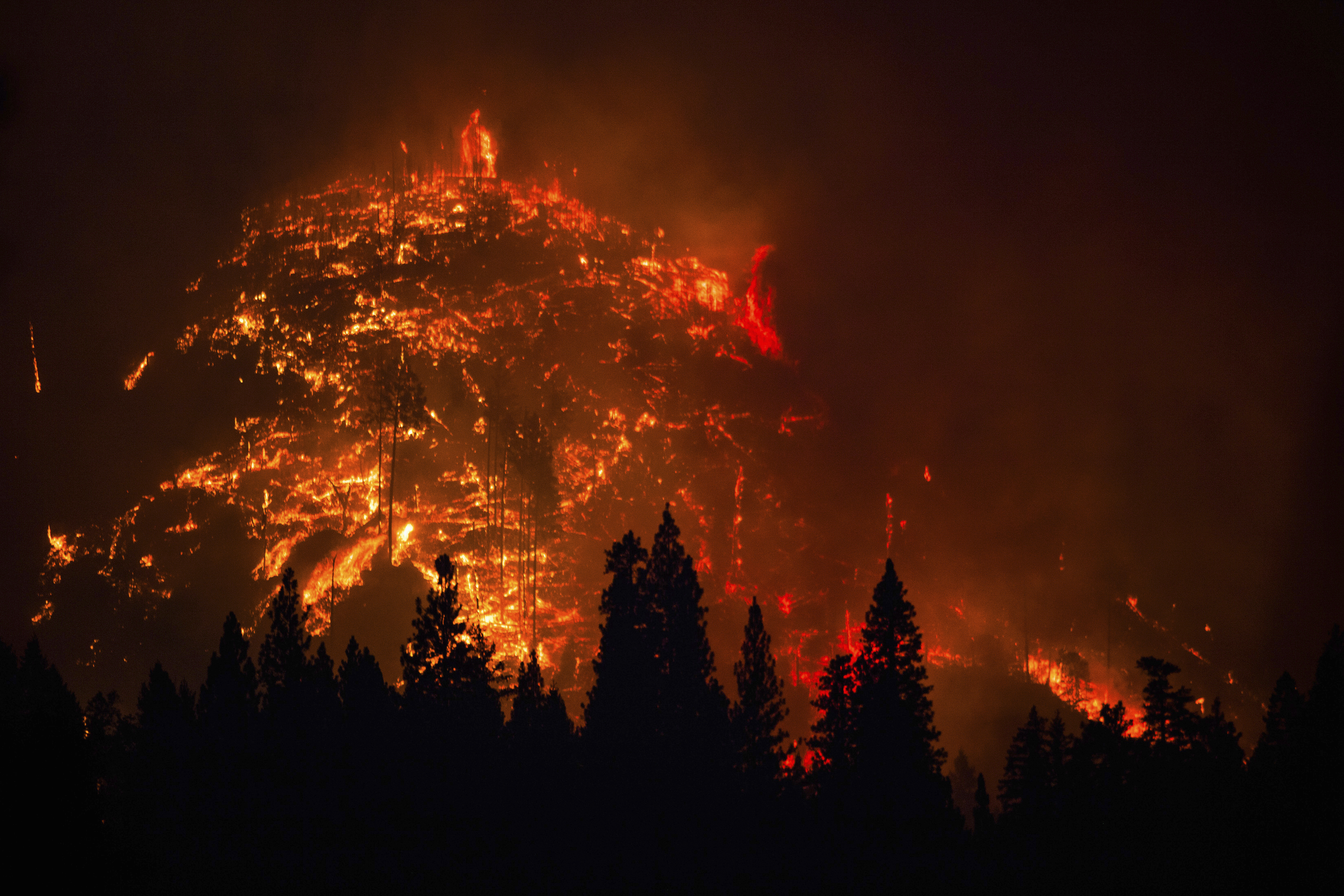 The Rim Fire burns near Buck Meadows, California