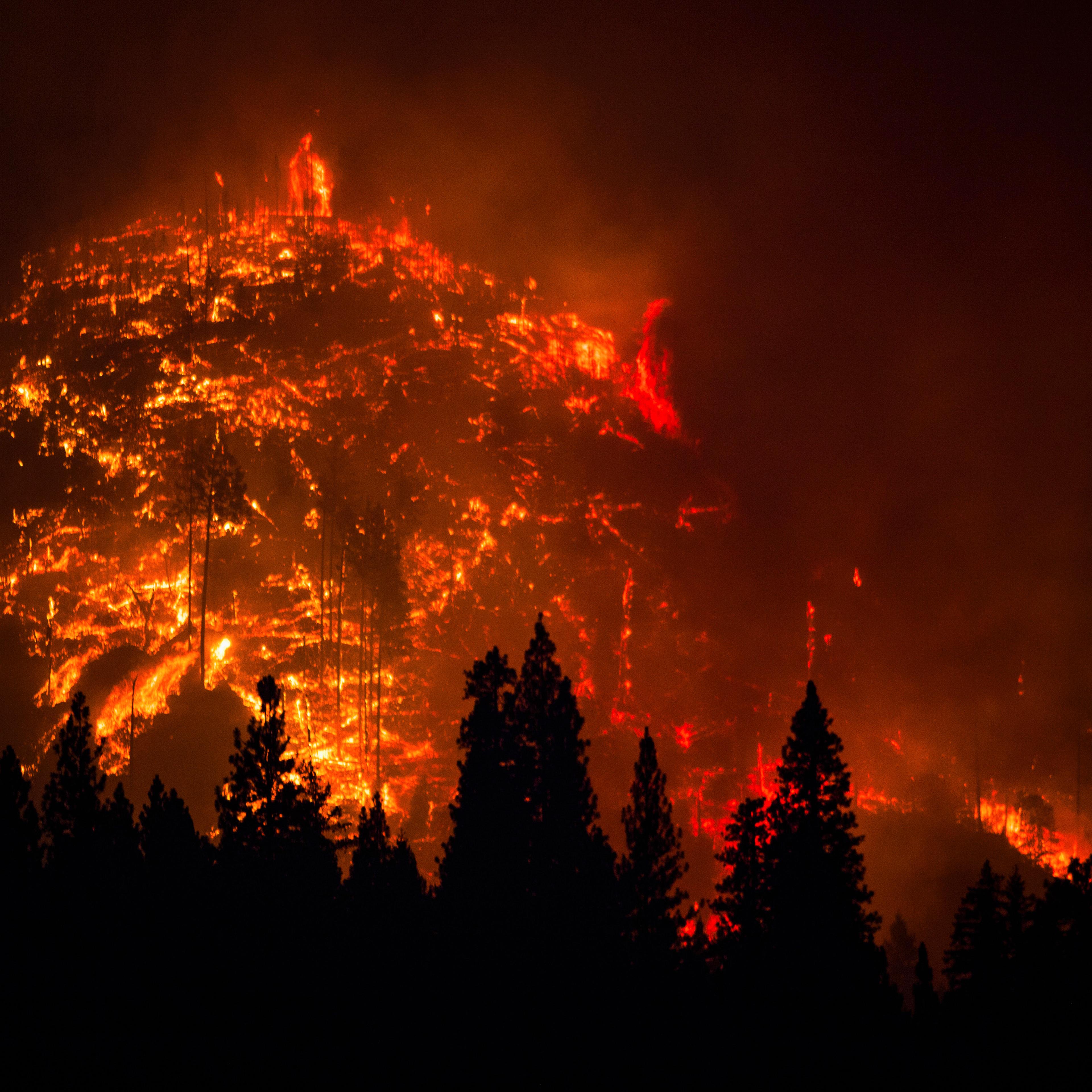 The Rim Fire burns near Buck Meadows, California