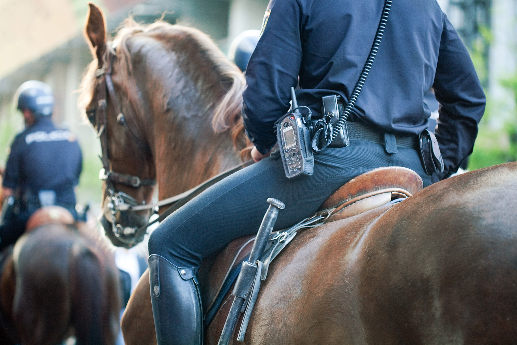 mounted police