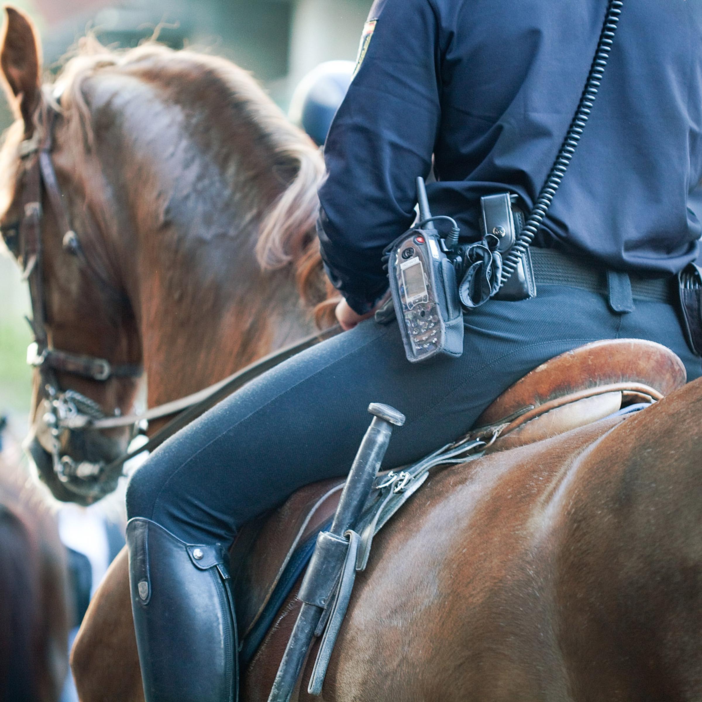 mounted police