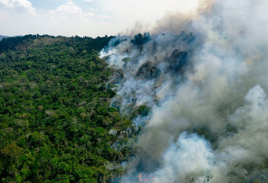 Aerial view of a burning area of Amazon rainforest reserve, south of Novo Progresso in Para state, on Aug. 16, 2020.