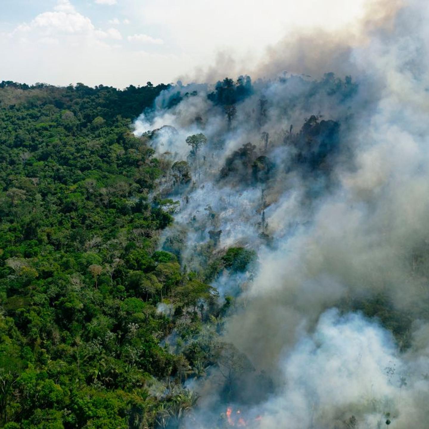 Aerial view of a burning area of Amazon rainforest reserve, south of Novo Progresso in Para state, on Aug. 16, 2020.