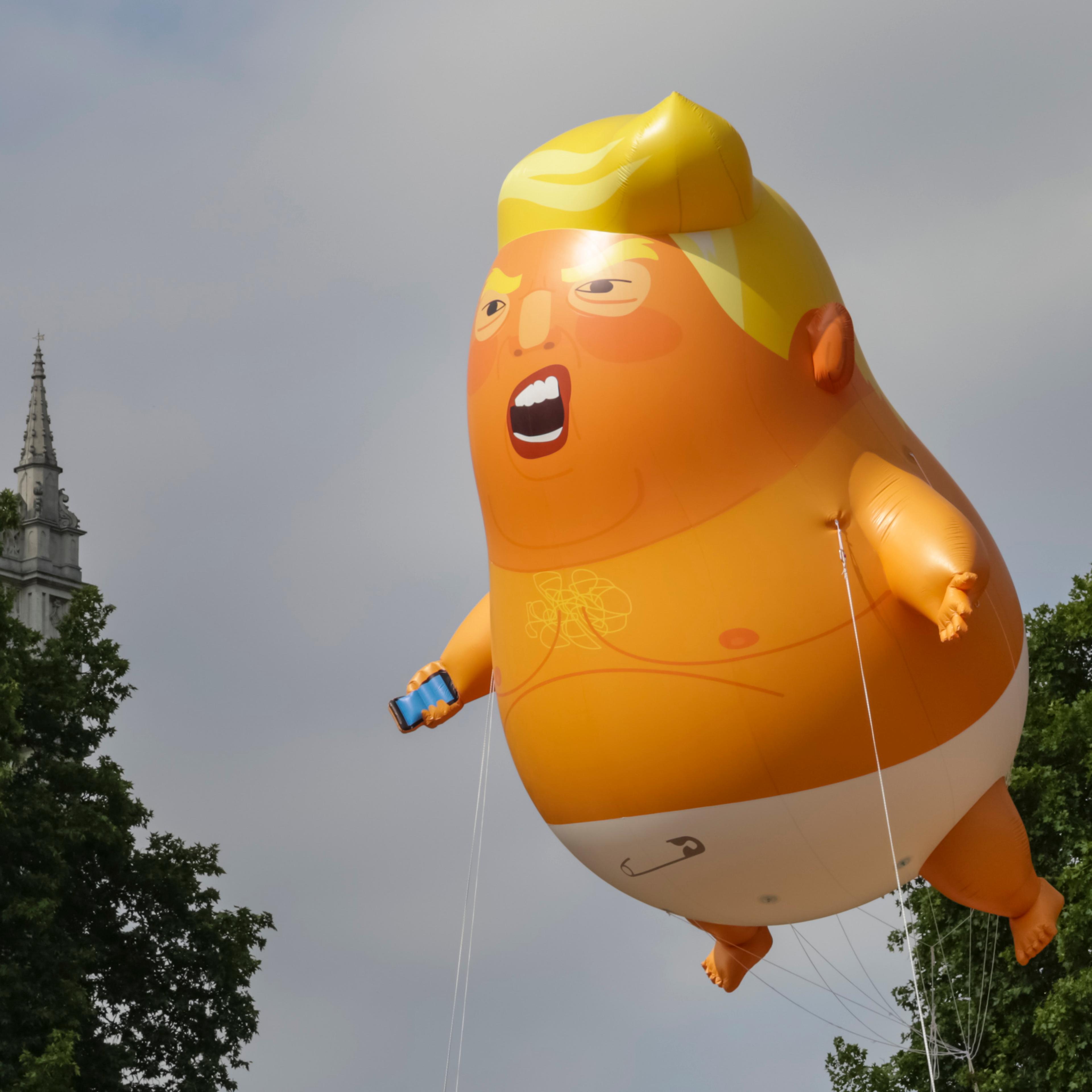 Demonstrators Protest Trump Visit