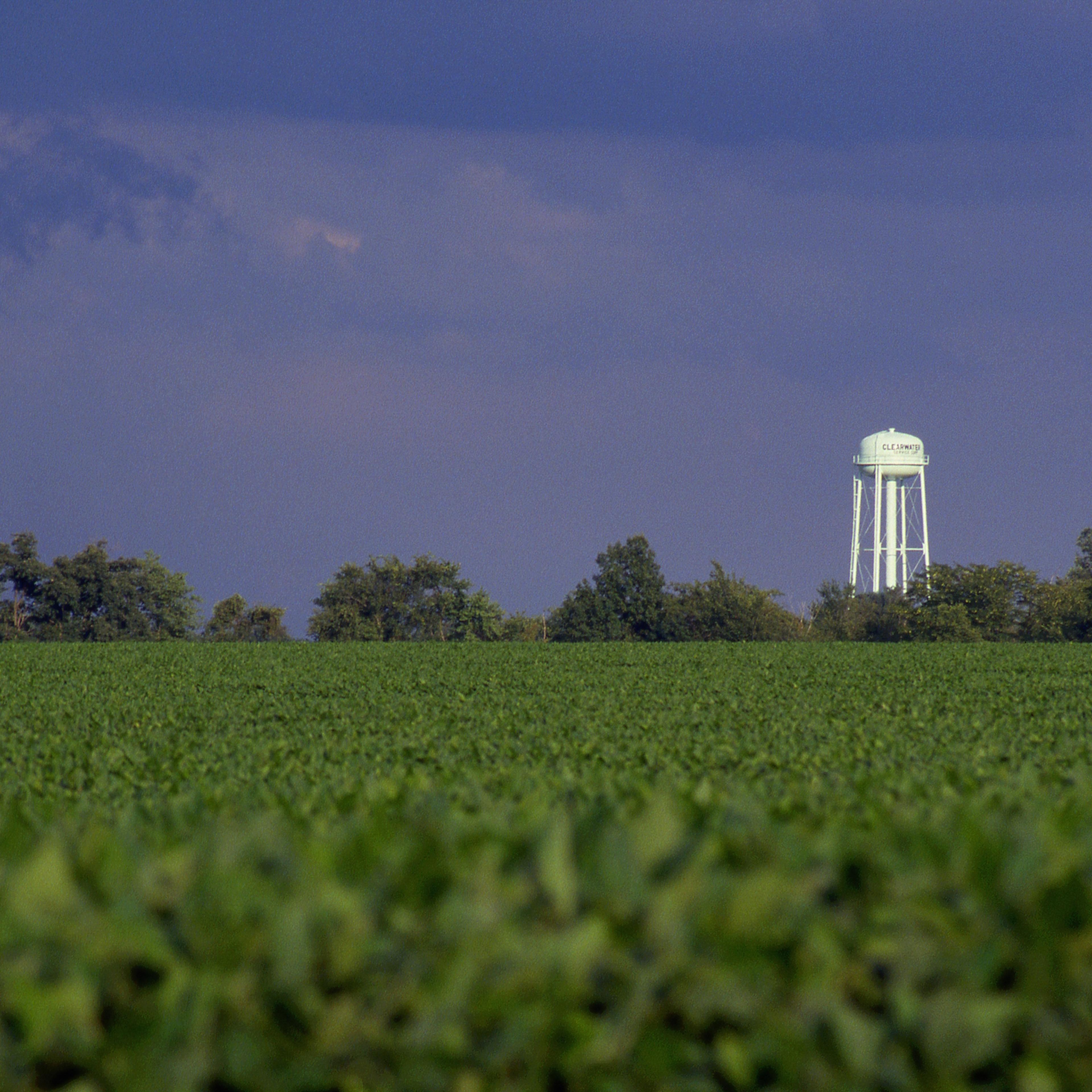 Soybean field and Water tower, Illinois