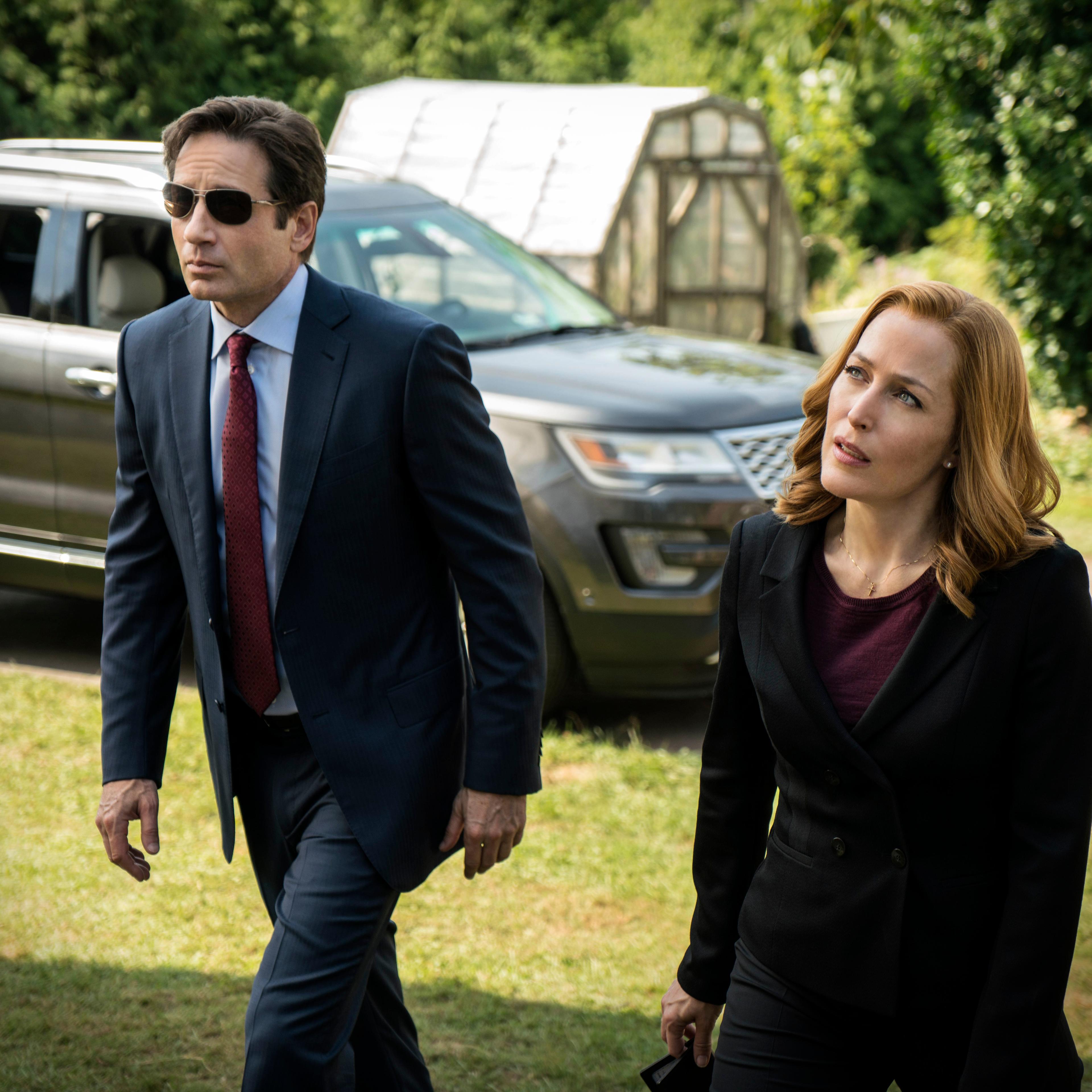 David Duchovny and Gillian Anderson in The X-Files.