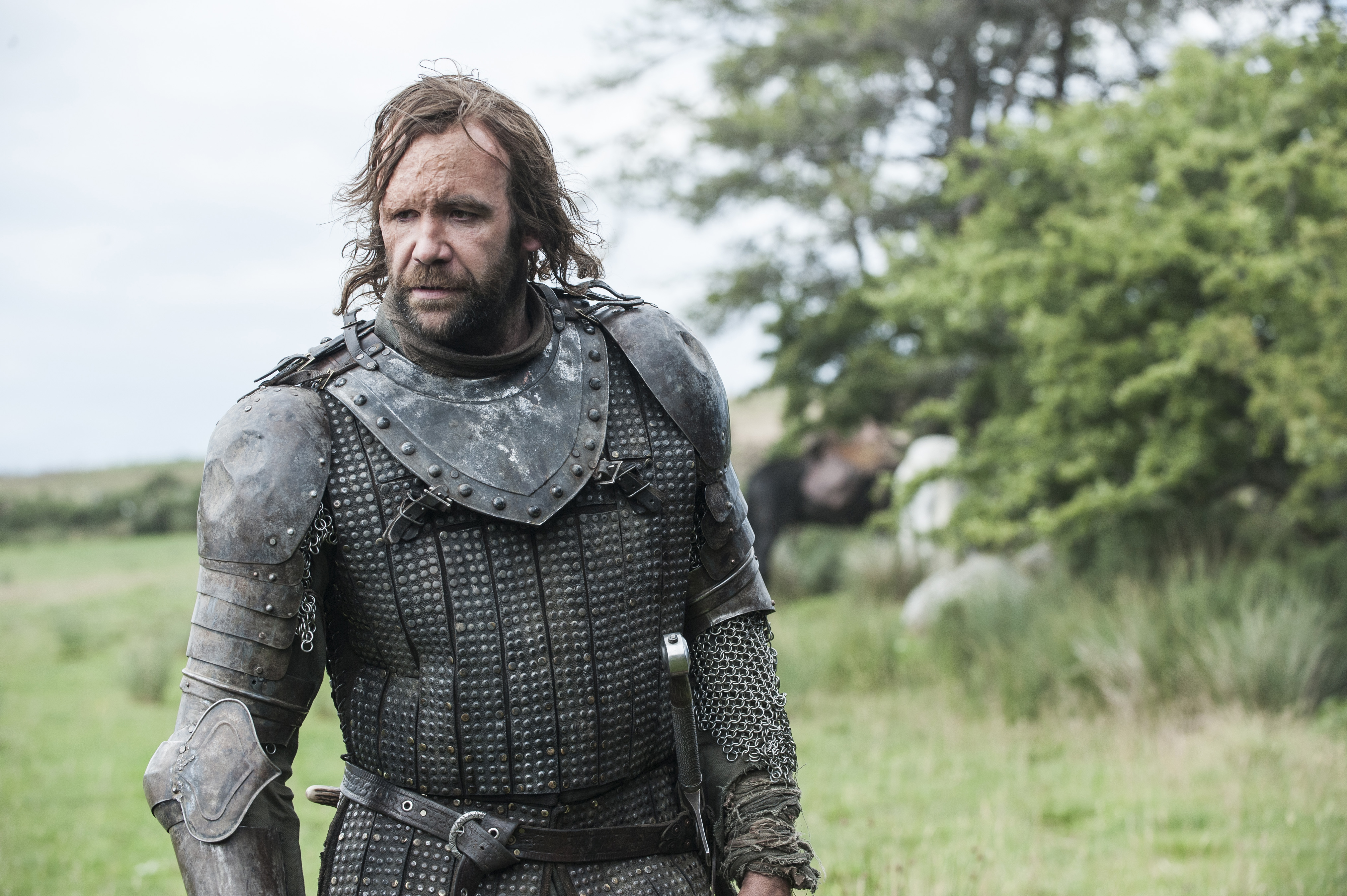 Rory McCann as Sandor "The Hound" Clegane.