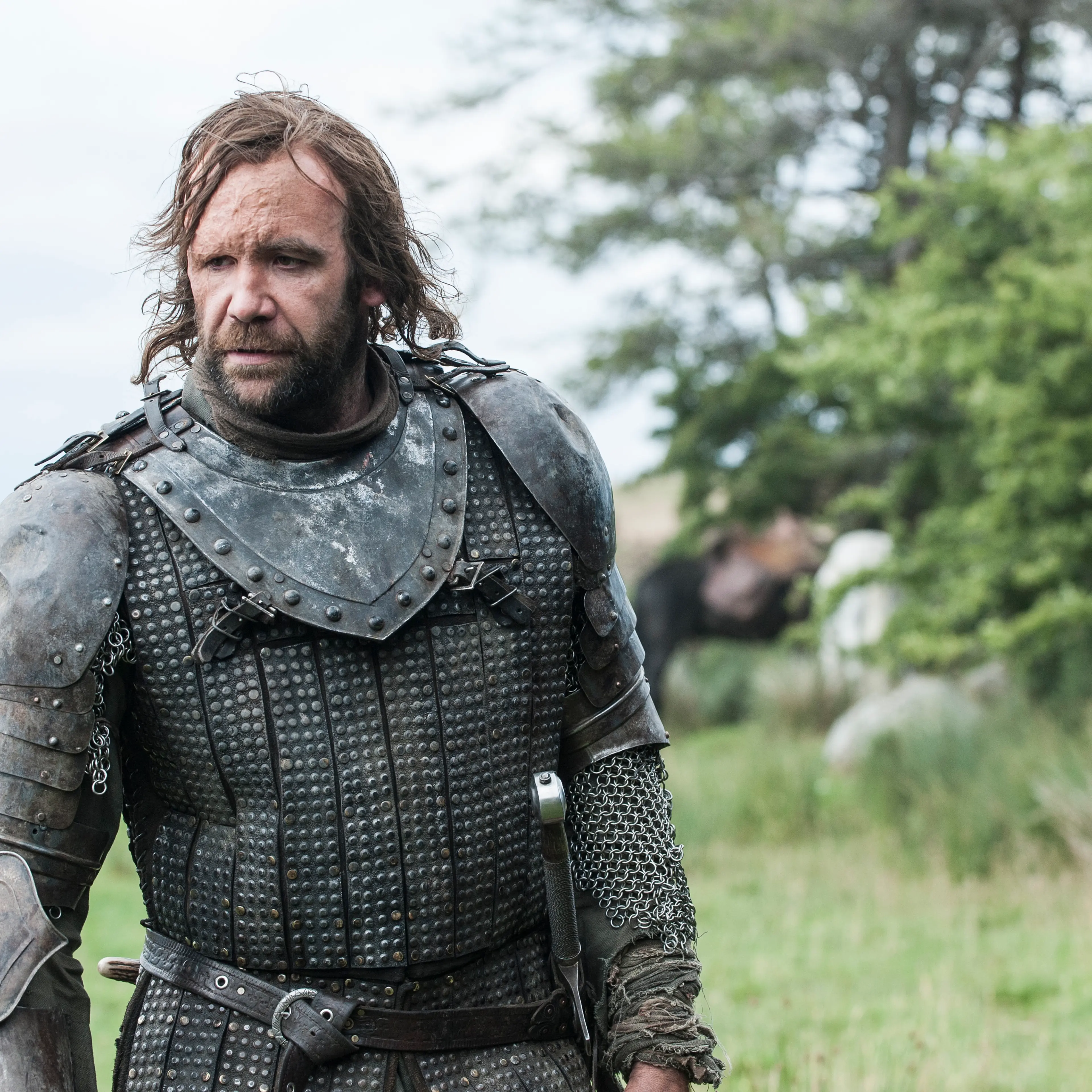 Rory McCann as Sandor "The Hound" Clegane.