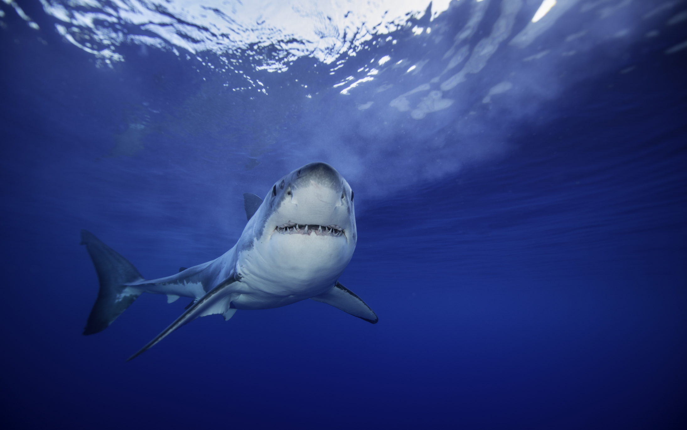Watching You