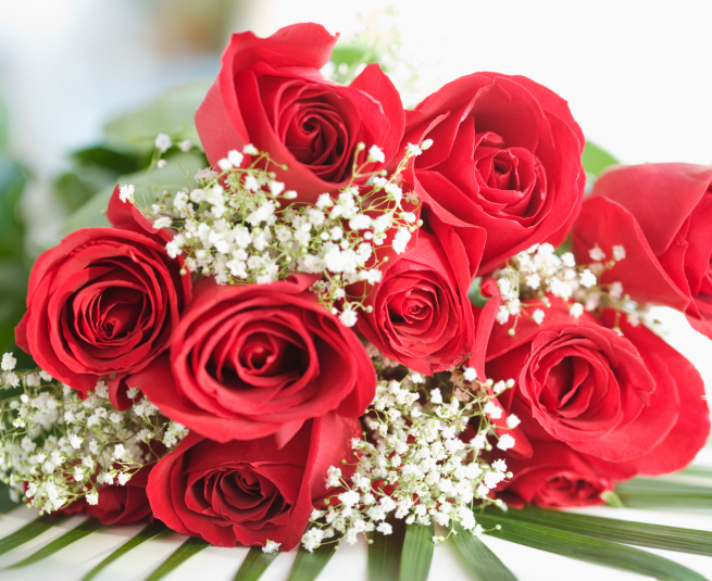 Close up of bouquet of roses
