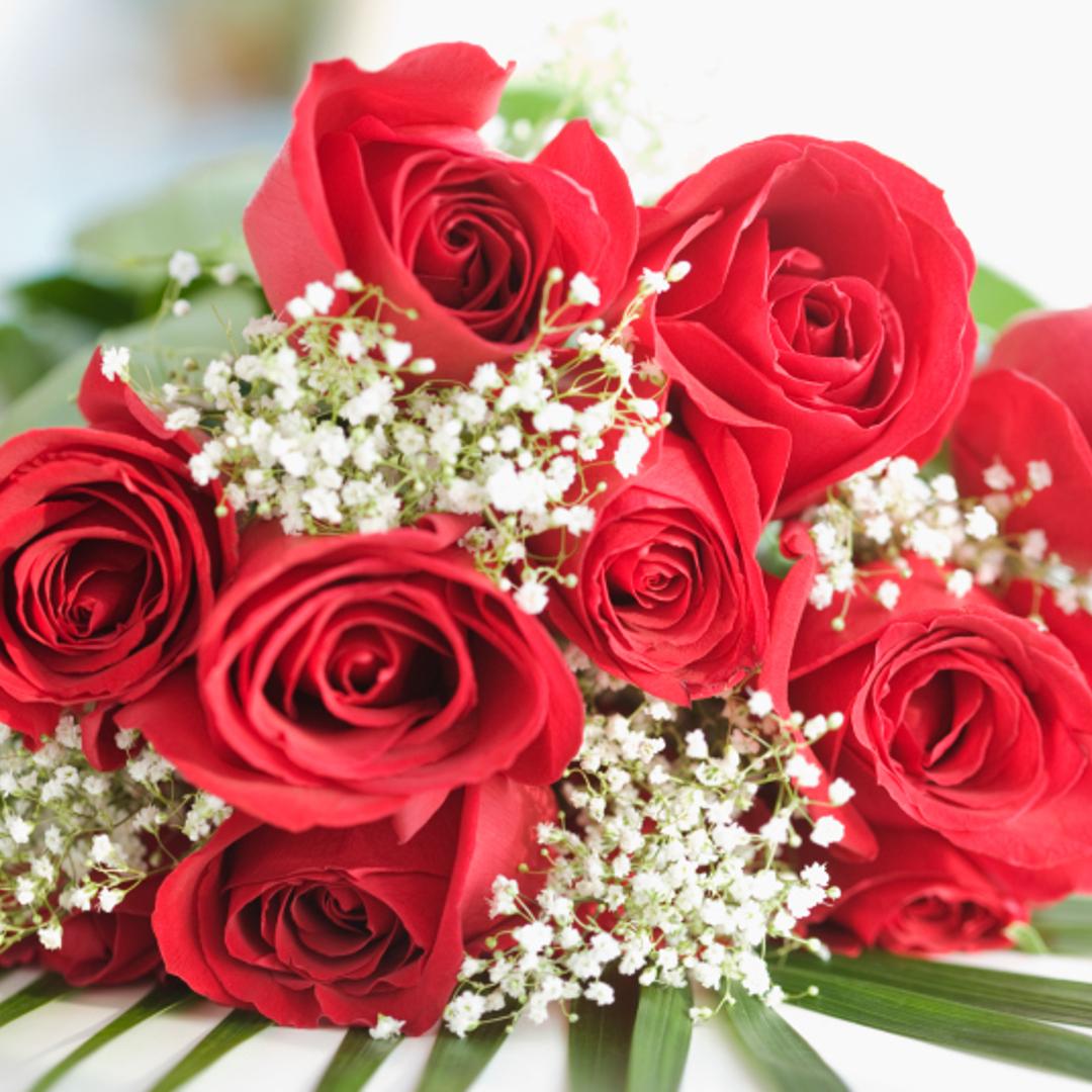 Close up of bouquet of roses