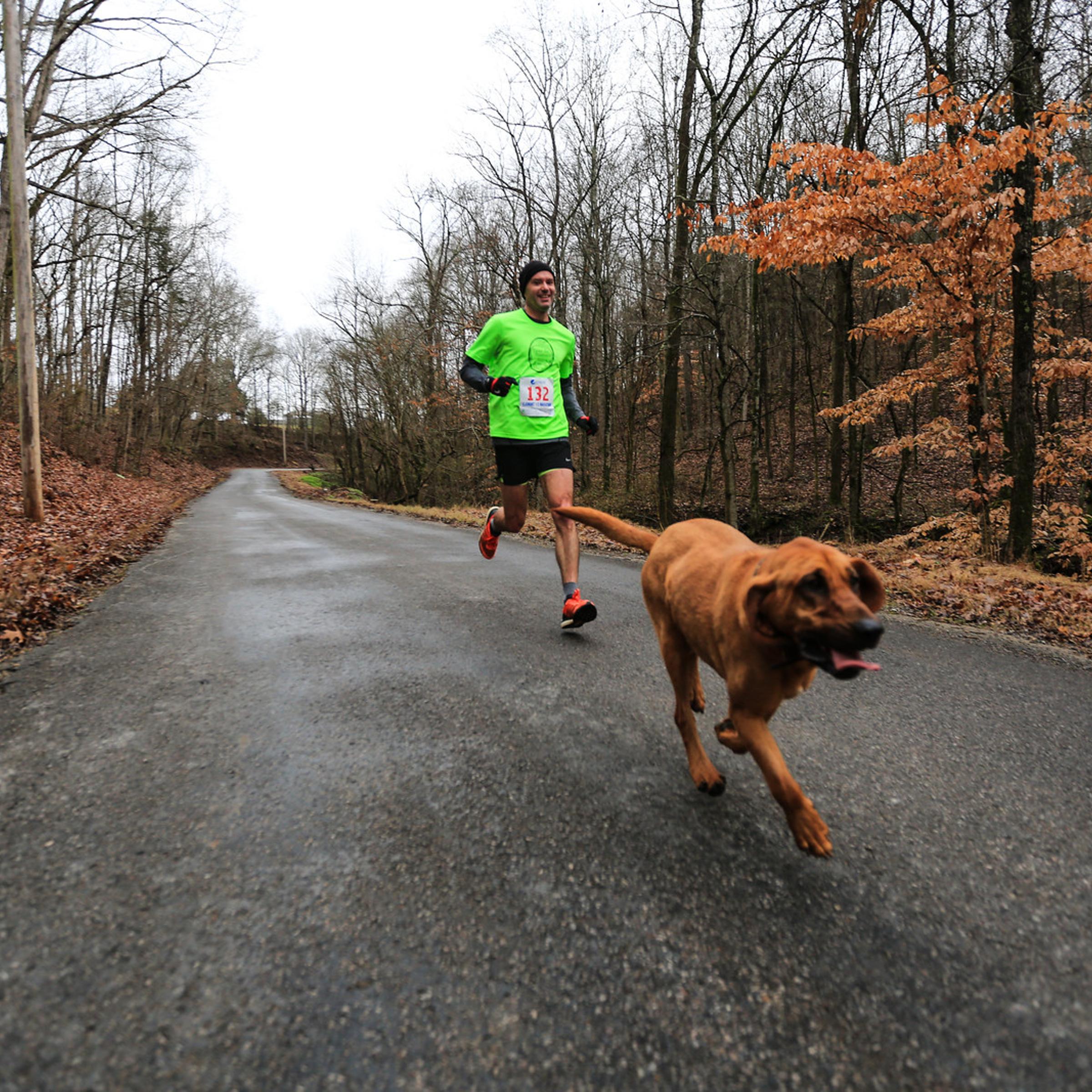 Ludivine is seen in the Trackless Train Trek Half Marathon in Elkmont, Ala. on Jan. 23, 2016.