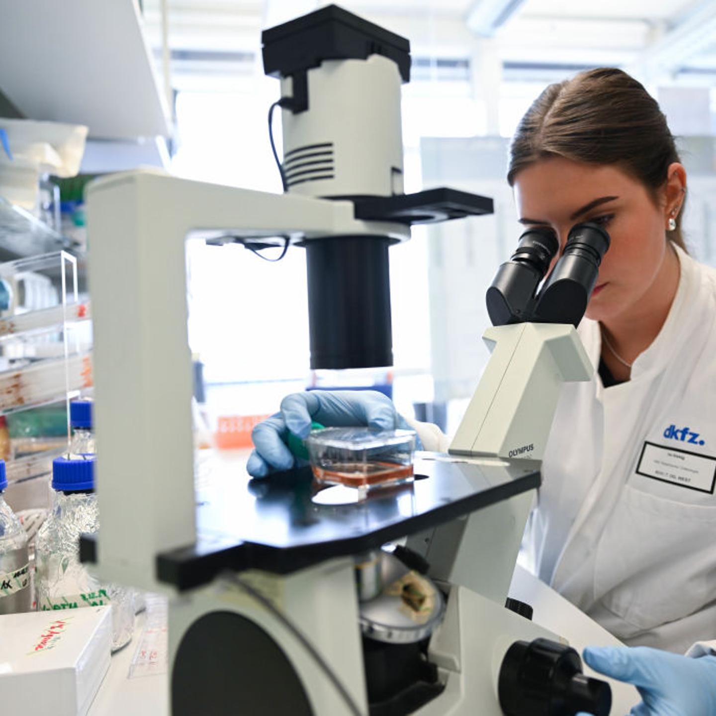 German Cancer Research Center DKFZ