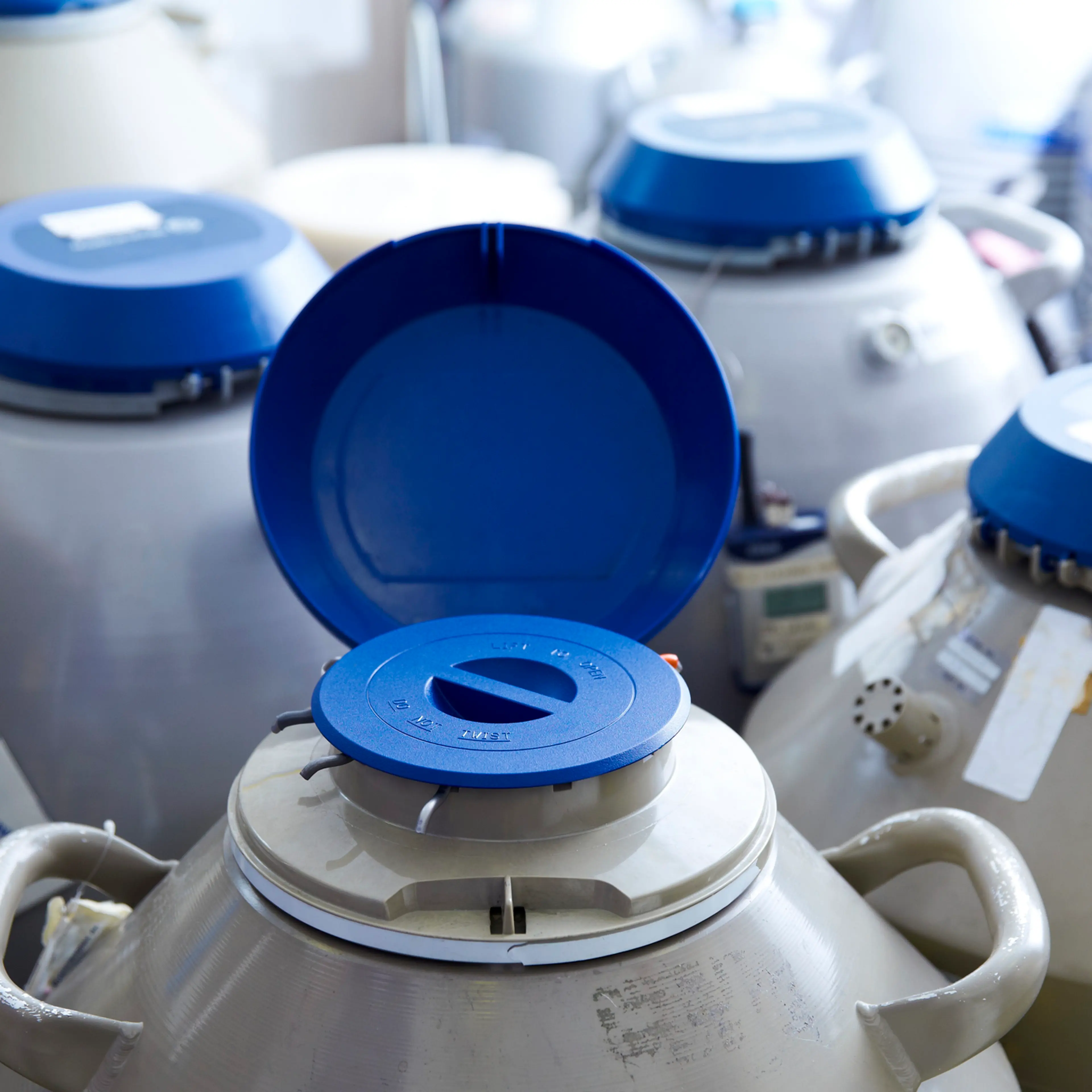 Egg storage for IVF