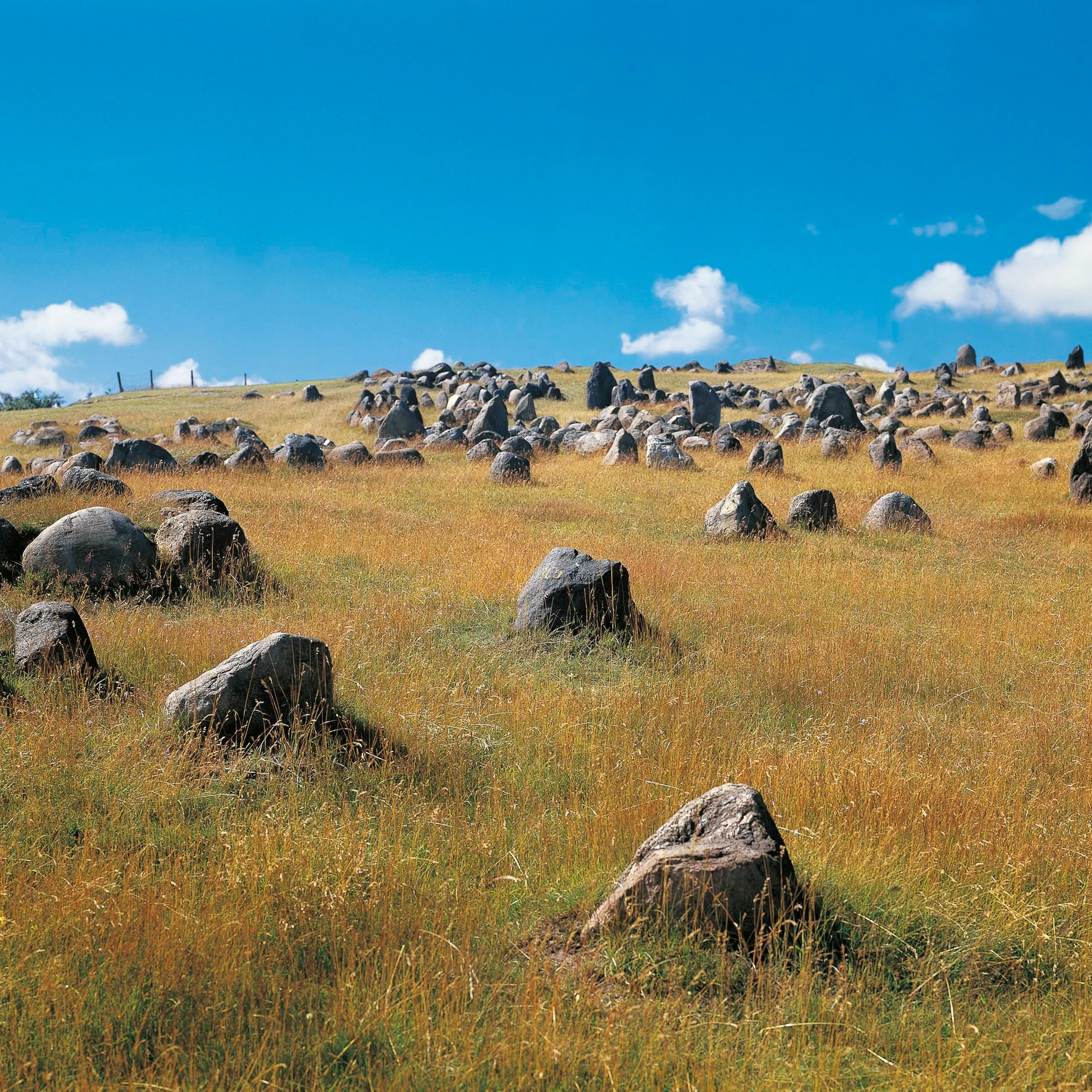 Viking burial ground of Lindholm Hoje