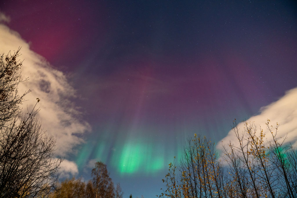 Northern lights in Alaska