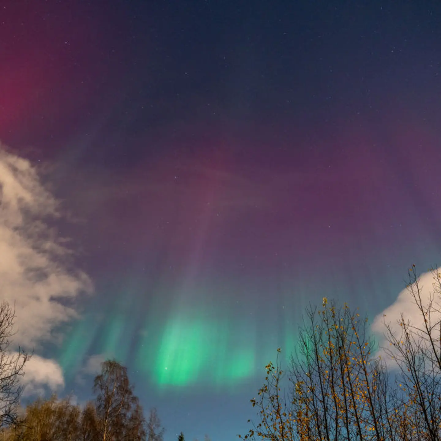 Northern lights in Alaska