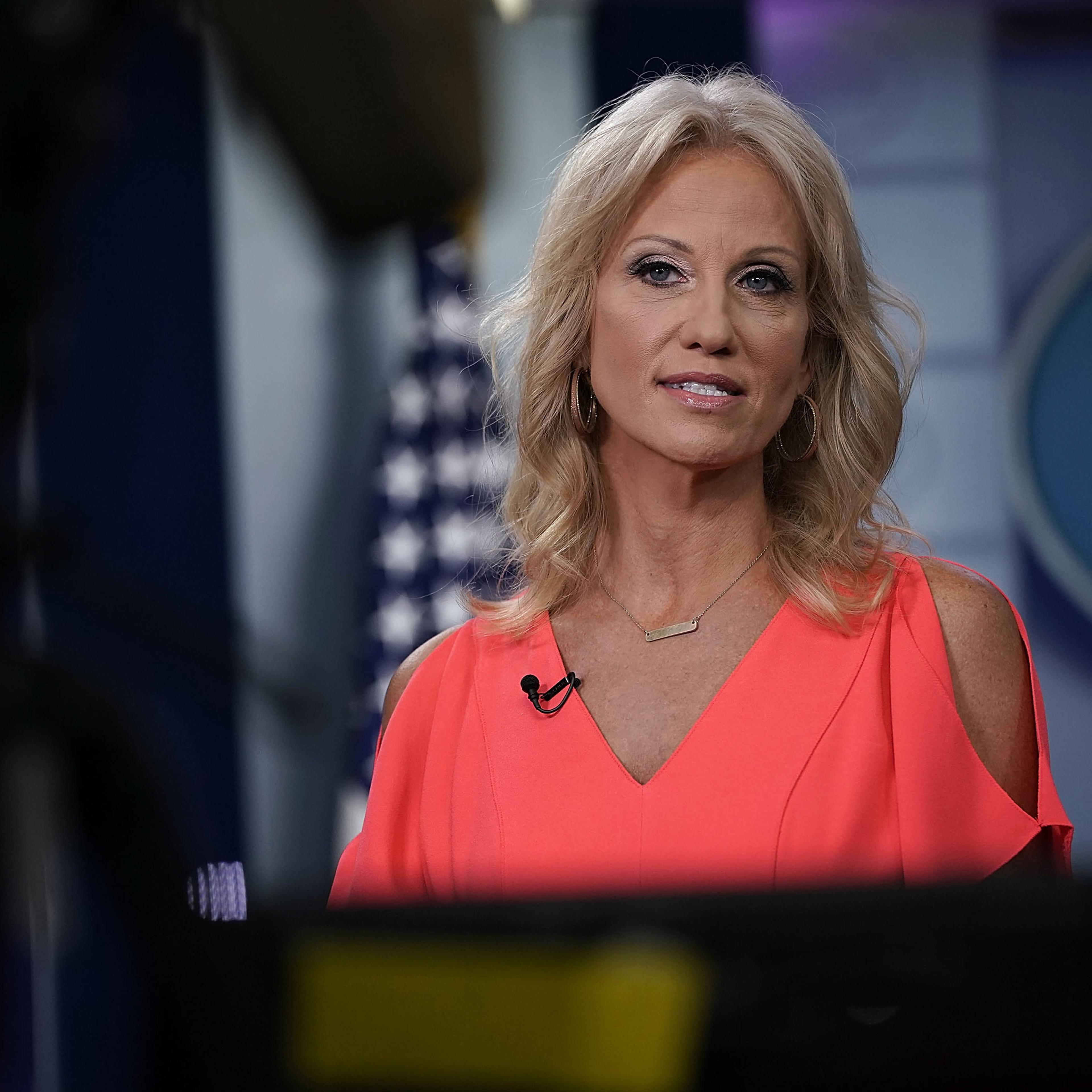 White House Adviser Kellyanne Conway Interviews With Fox News At The White House