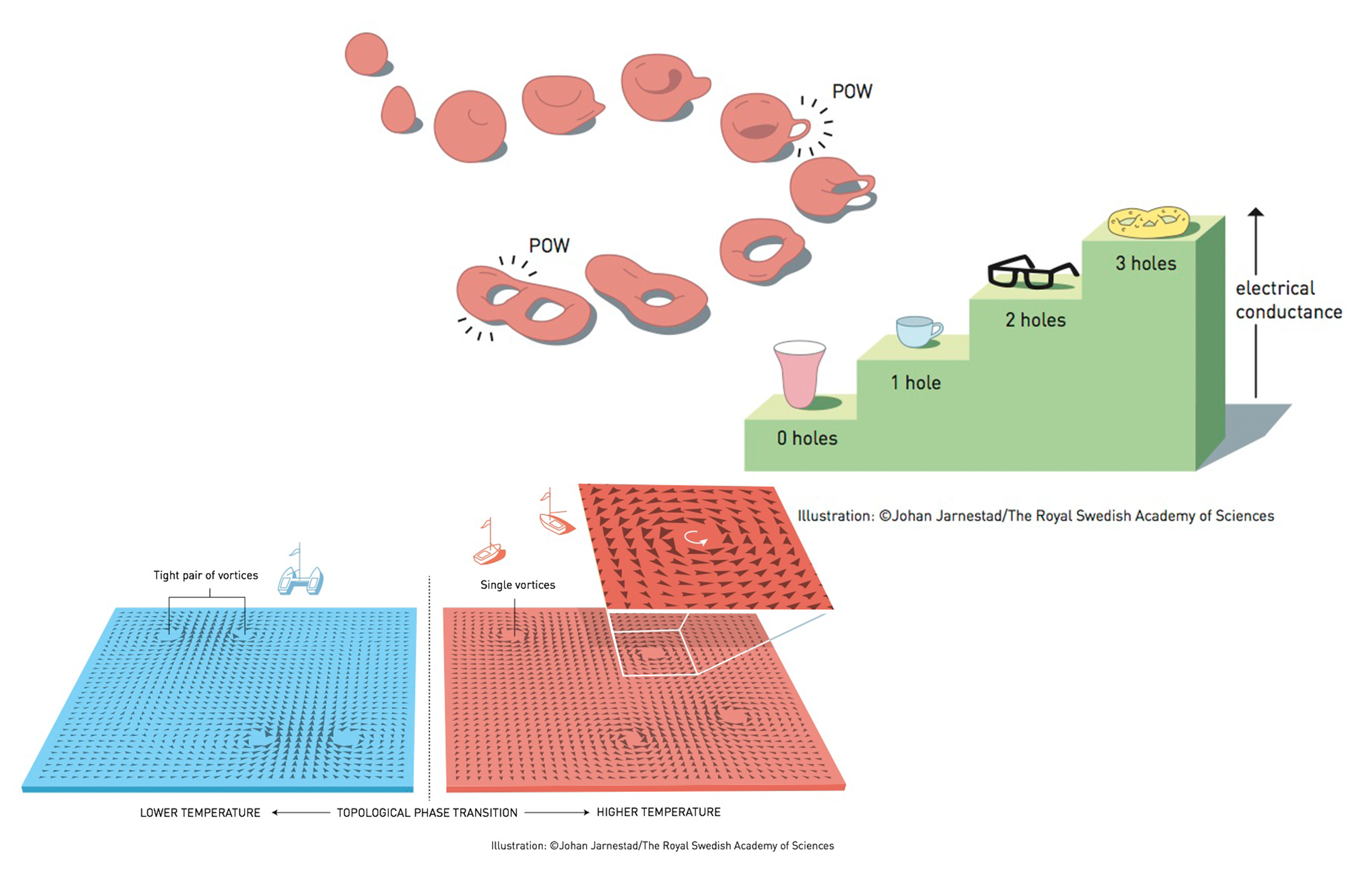 Topology should prevent new holes in mutable material to transform, say, a coffee mug into a pair of glasses (top) but Nobel-winning research changes that thinking. paired vortices that can move apart in a way that's similar to a catamaran becoming two b