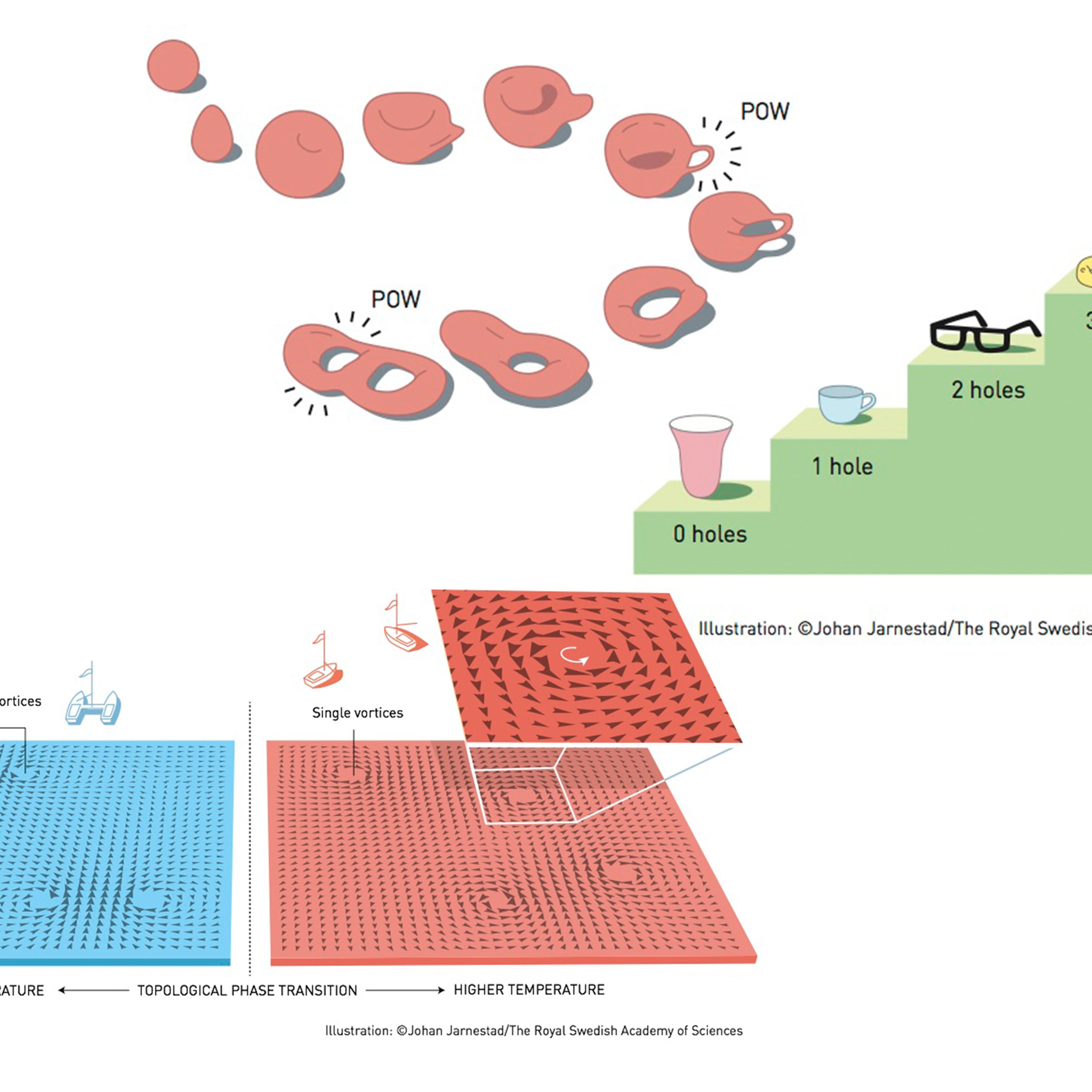 Topology should prevent new holes in mutable material to transform, say, a coffee mug into a pair of glasses (top) but Nobel-winning research changes that thinking. paired vortices that can move apart in a way that's similar to a catamaran becoming two b