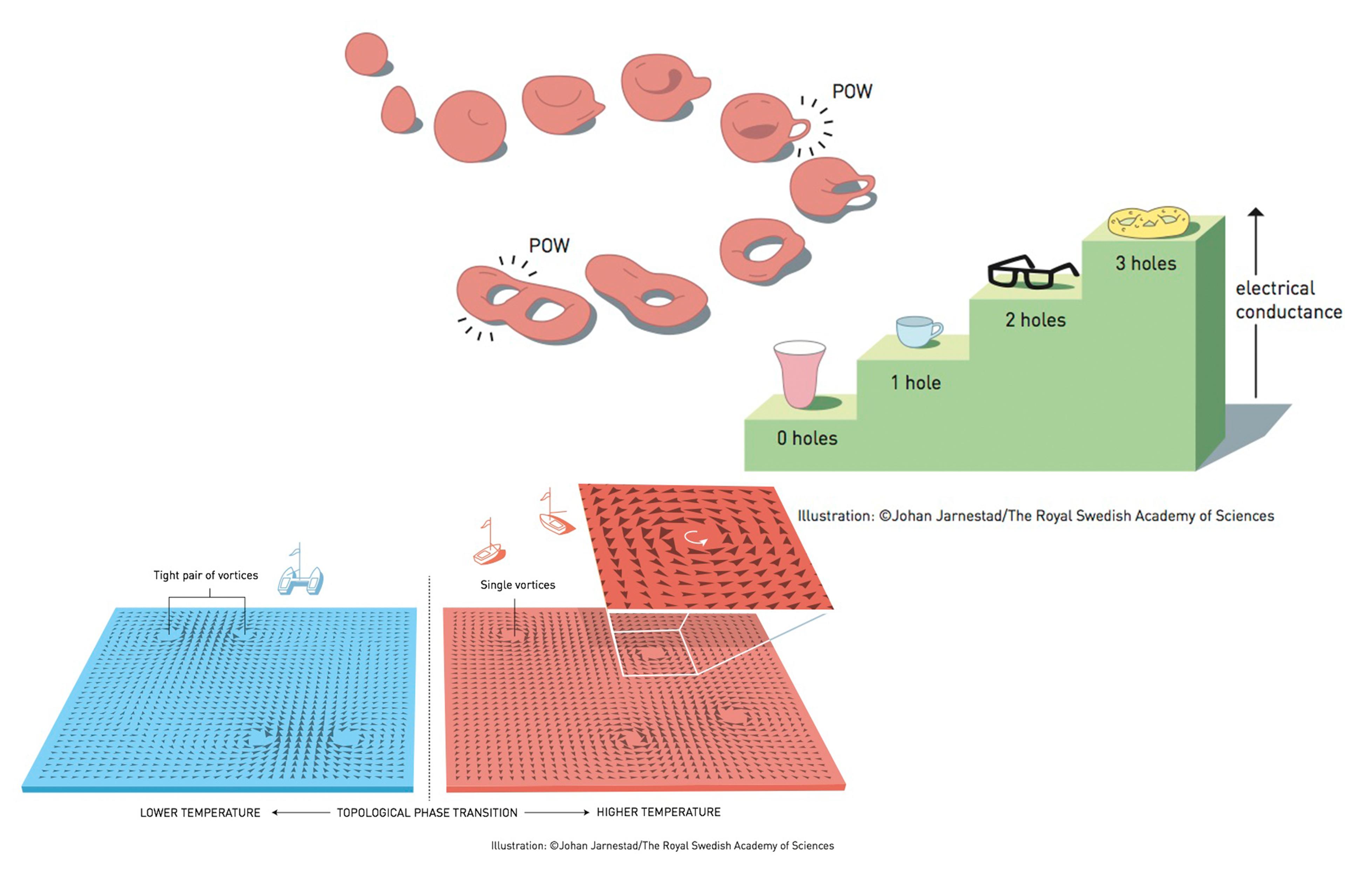 Topology should prevent new holes in mutable material to transform, say, a coffee mug into a pair of glasses (top) but Nobel-winning research changes that thinking. paired vortices that can move apart in a way that's similar to a catamaran becoming two b