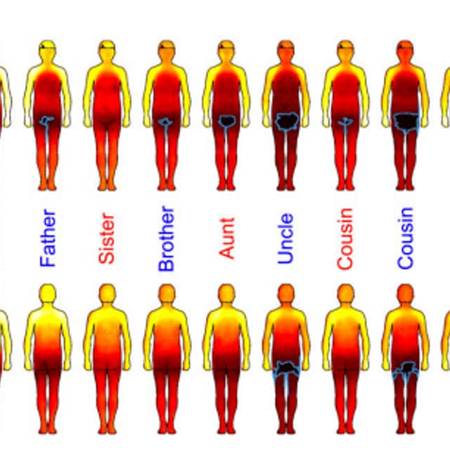 touch-chart
