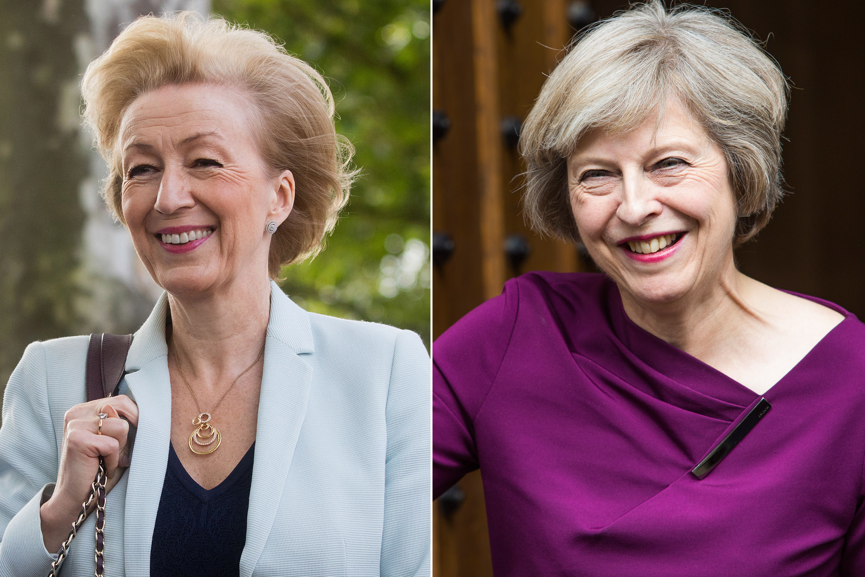Andrea Leadsom, Theresa May