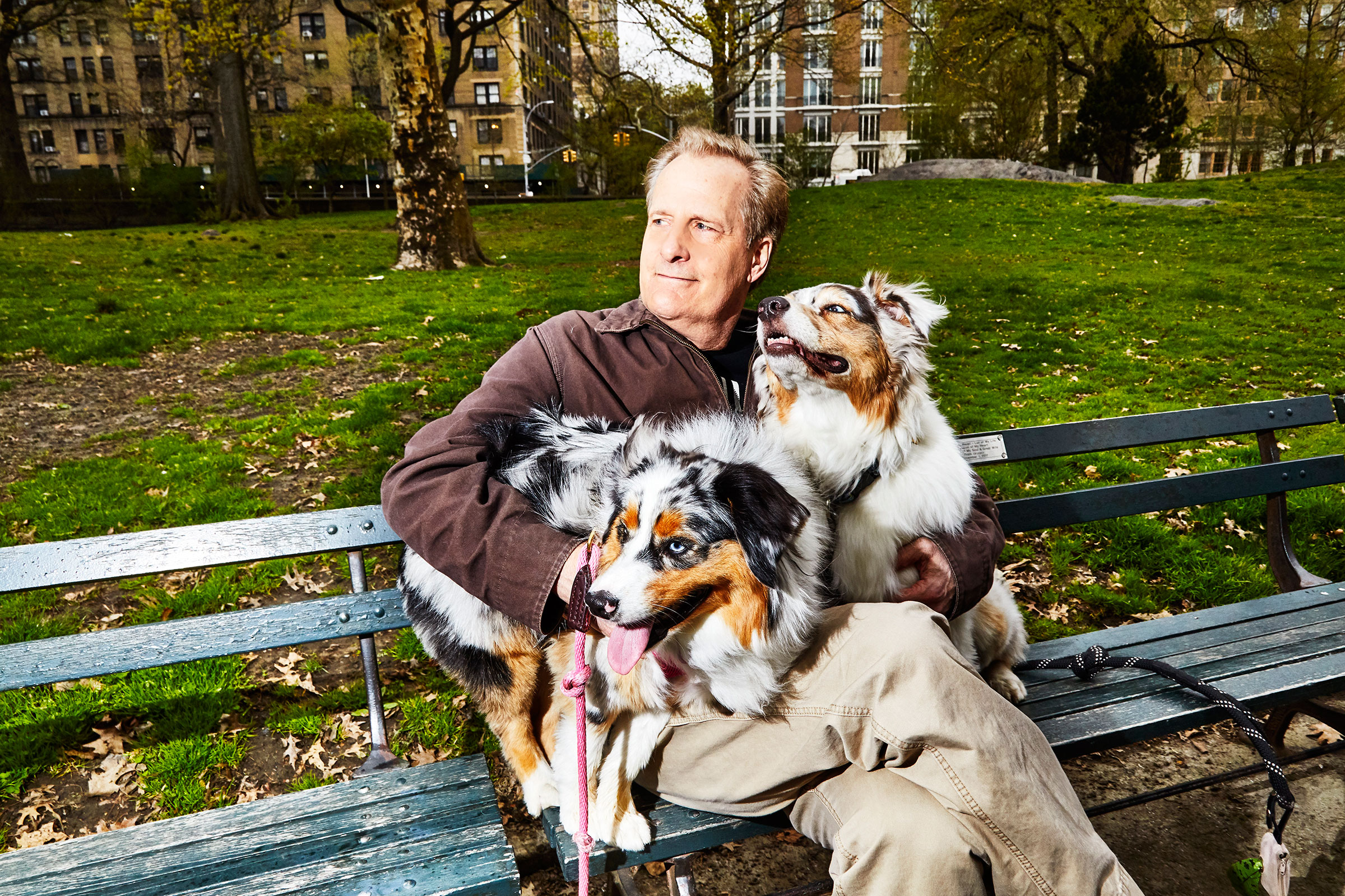Actor Jeff Daniels with his dogs in Central Park in New York City