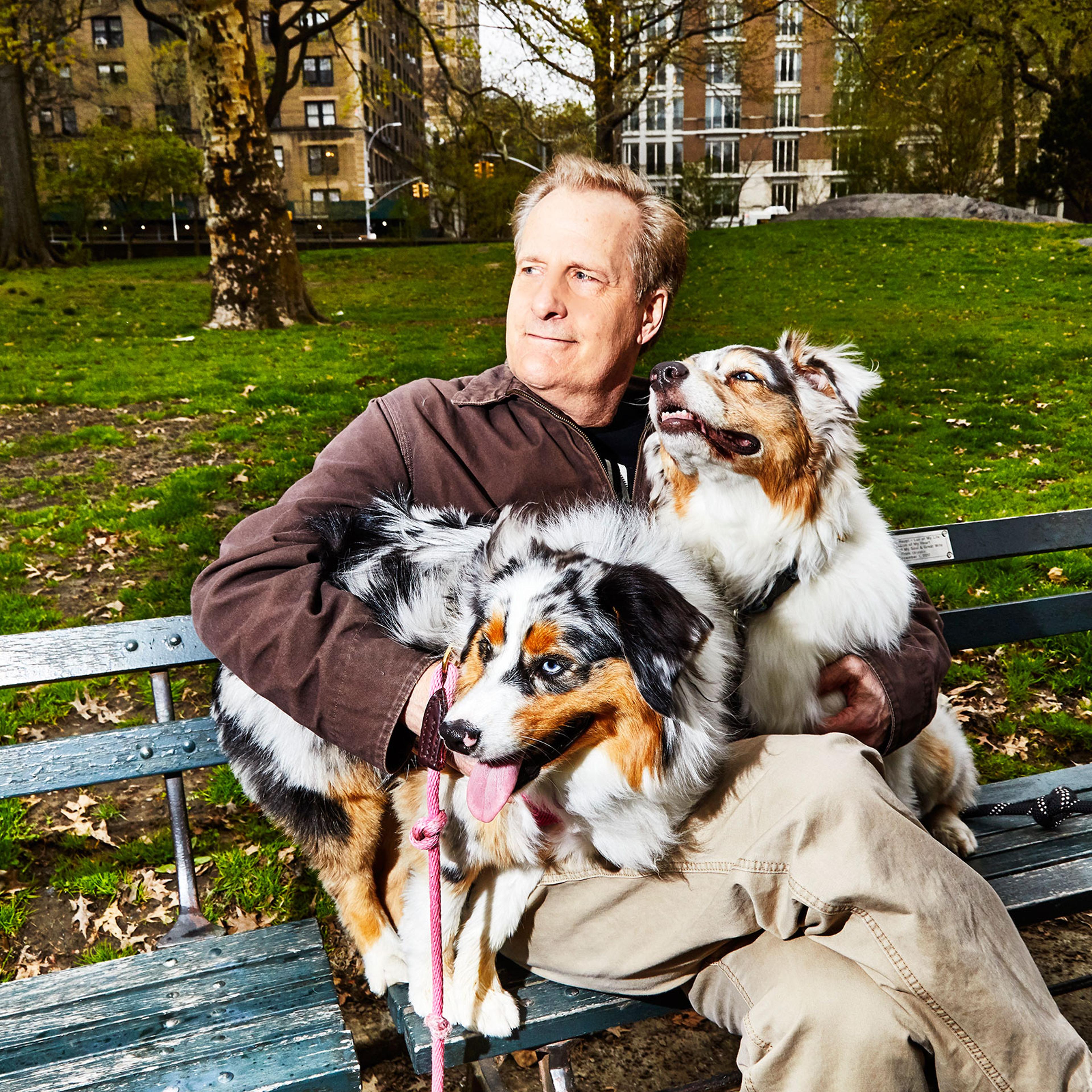 Actor Jeff Daniels with his dogs in Central Park in New York City