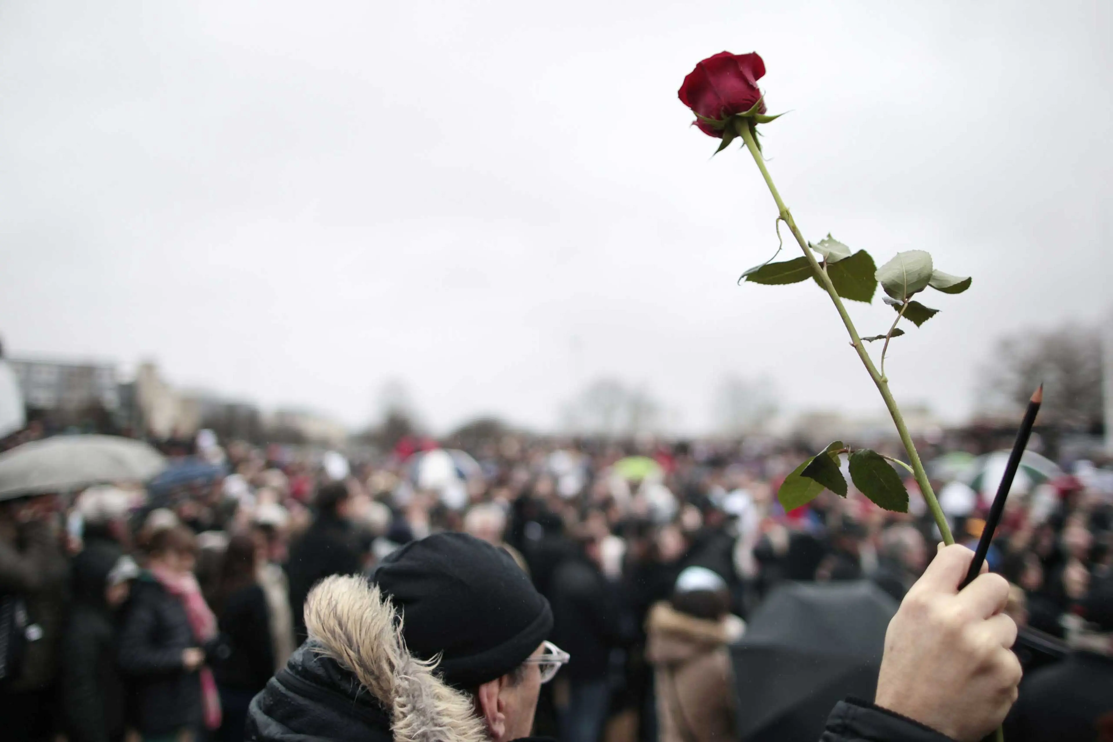 A man hold a rose and pencil during a rally at the Memorial Square in Caen on Jan. 10, 2015.