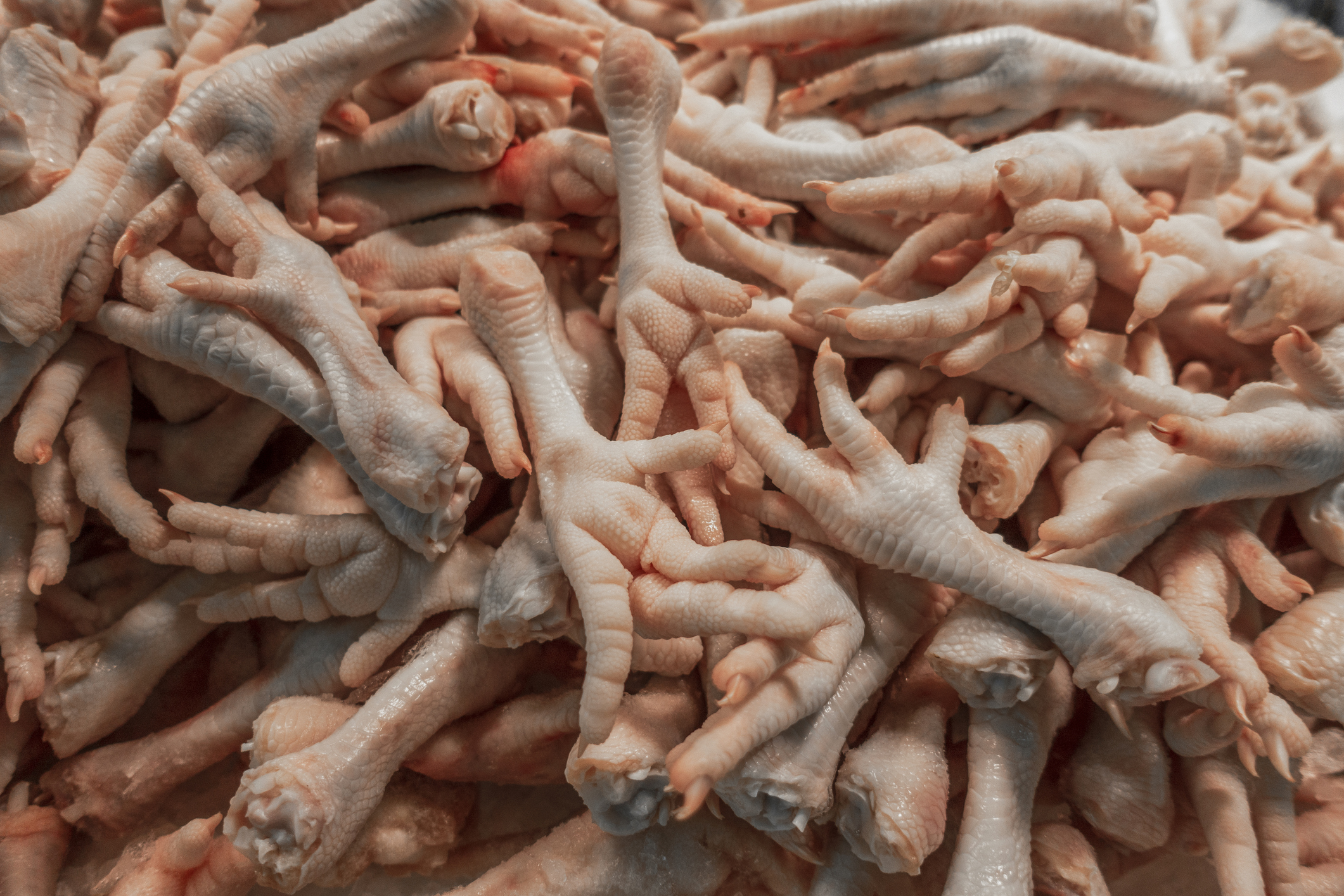 China Chicken Feet