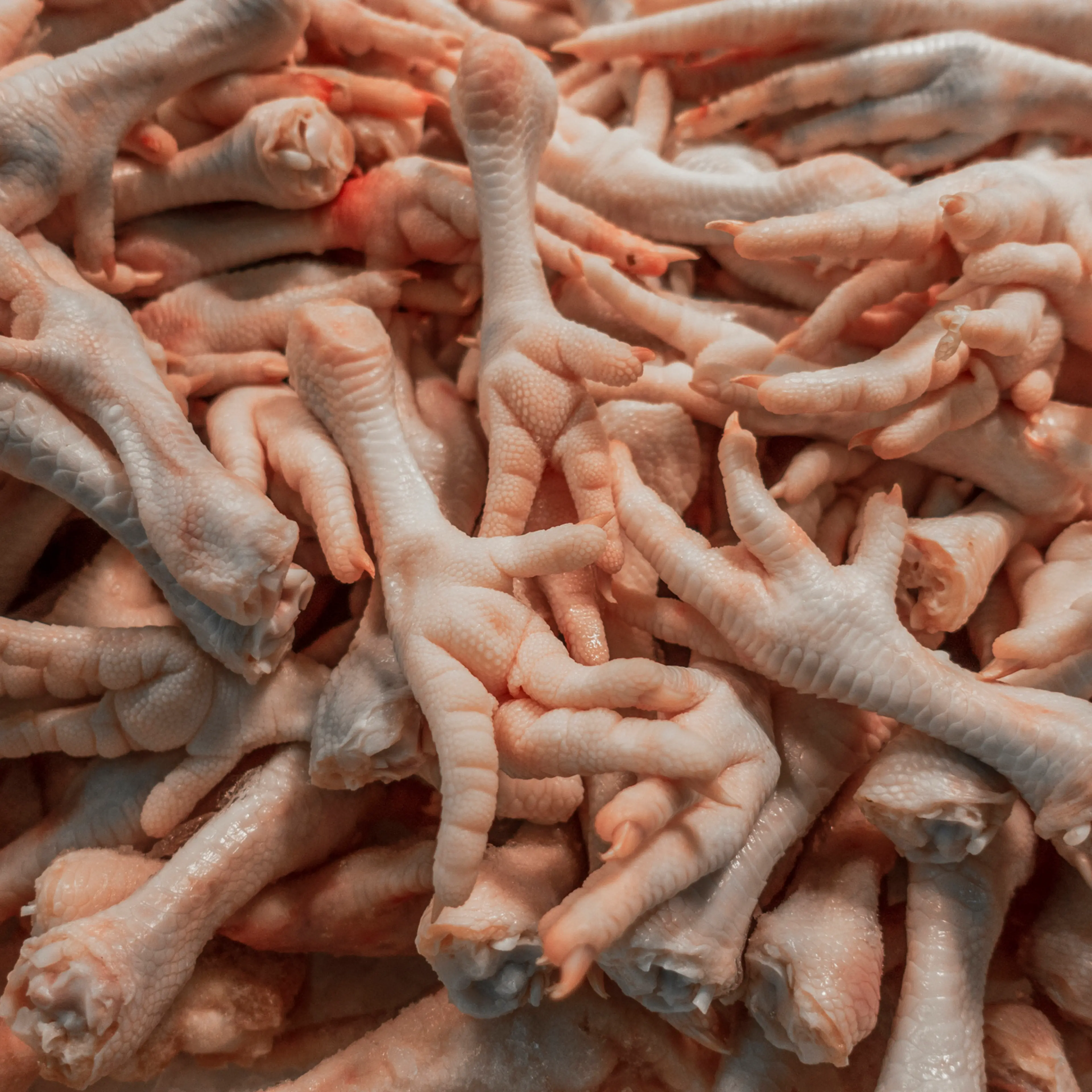 China Chicken Feet