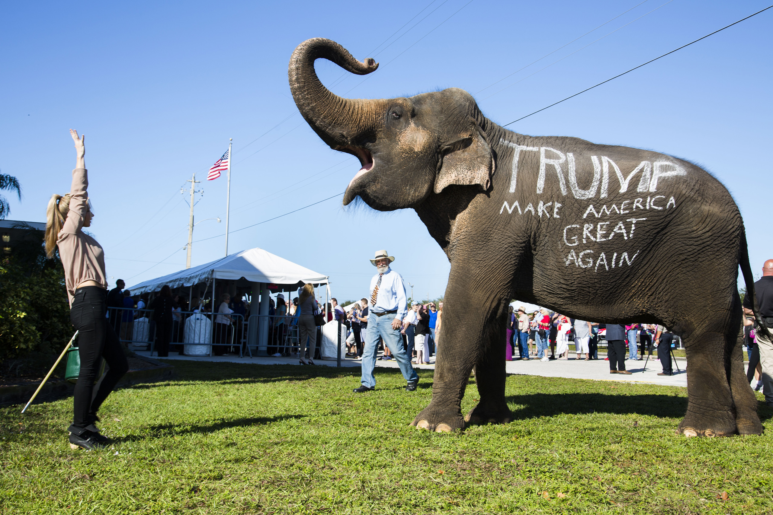 Donald Trump supporters parade an elephant in front of a rally in Sarasota, Fla. Nov. 28, 2015.