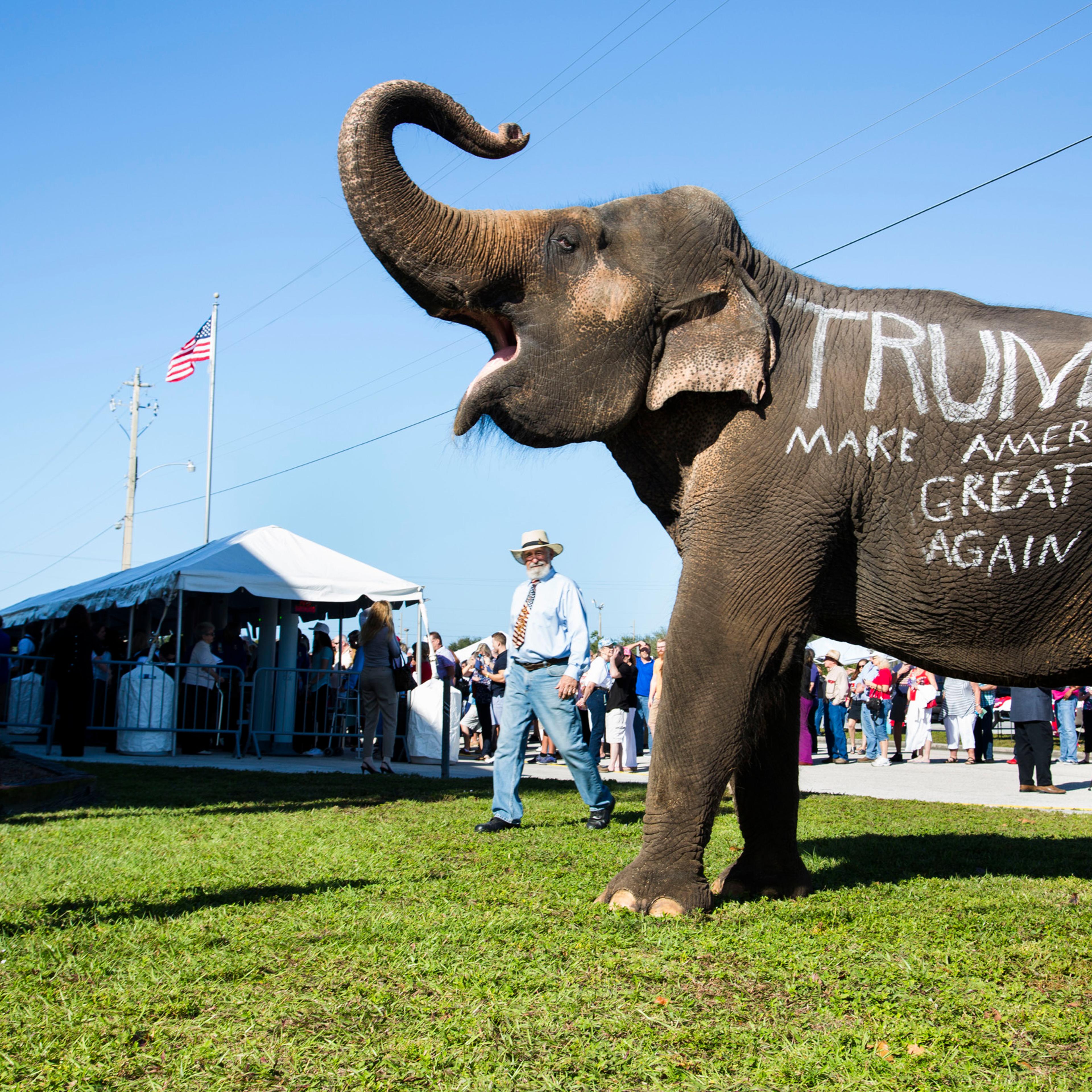 Donald Trump supporters parade an elephant in front of a rally in Sarasota, Fla. Nov. 28, 2015.