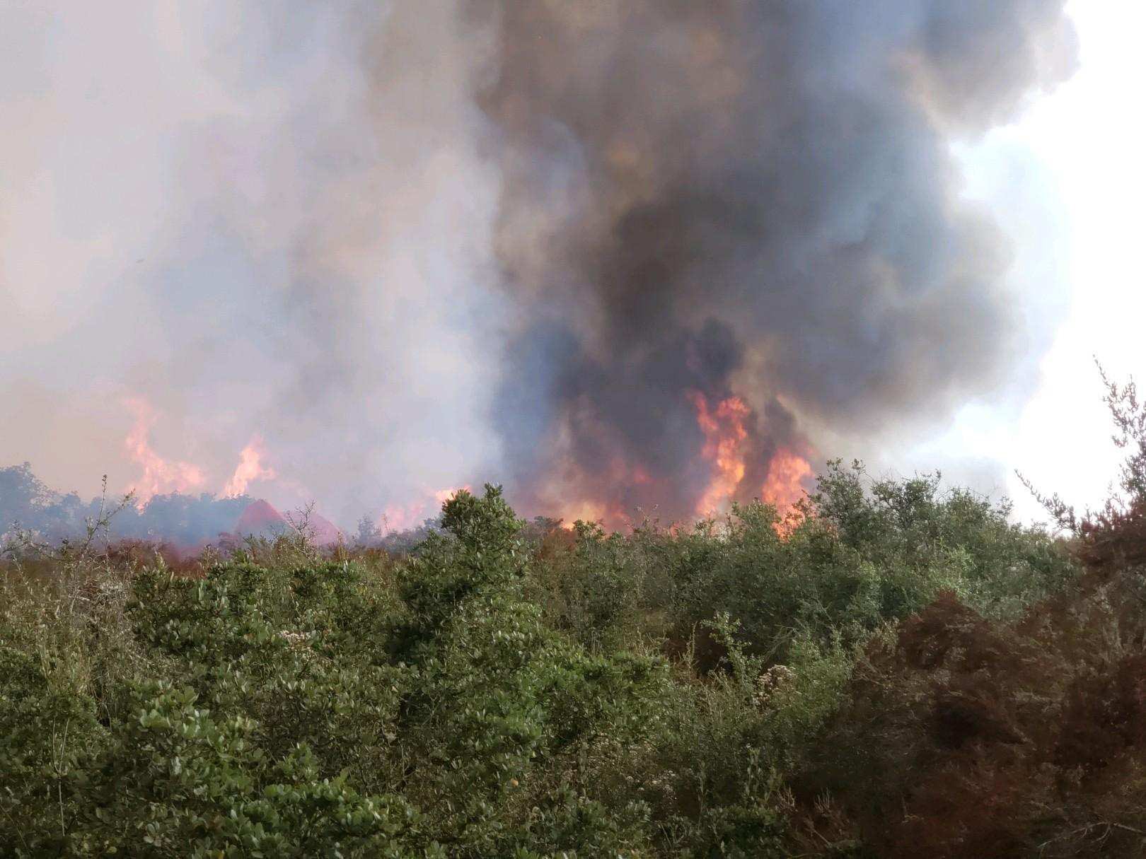tejana fire