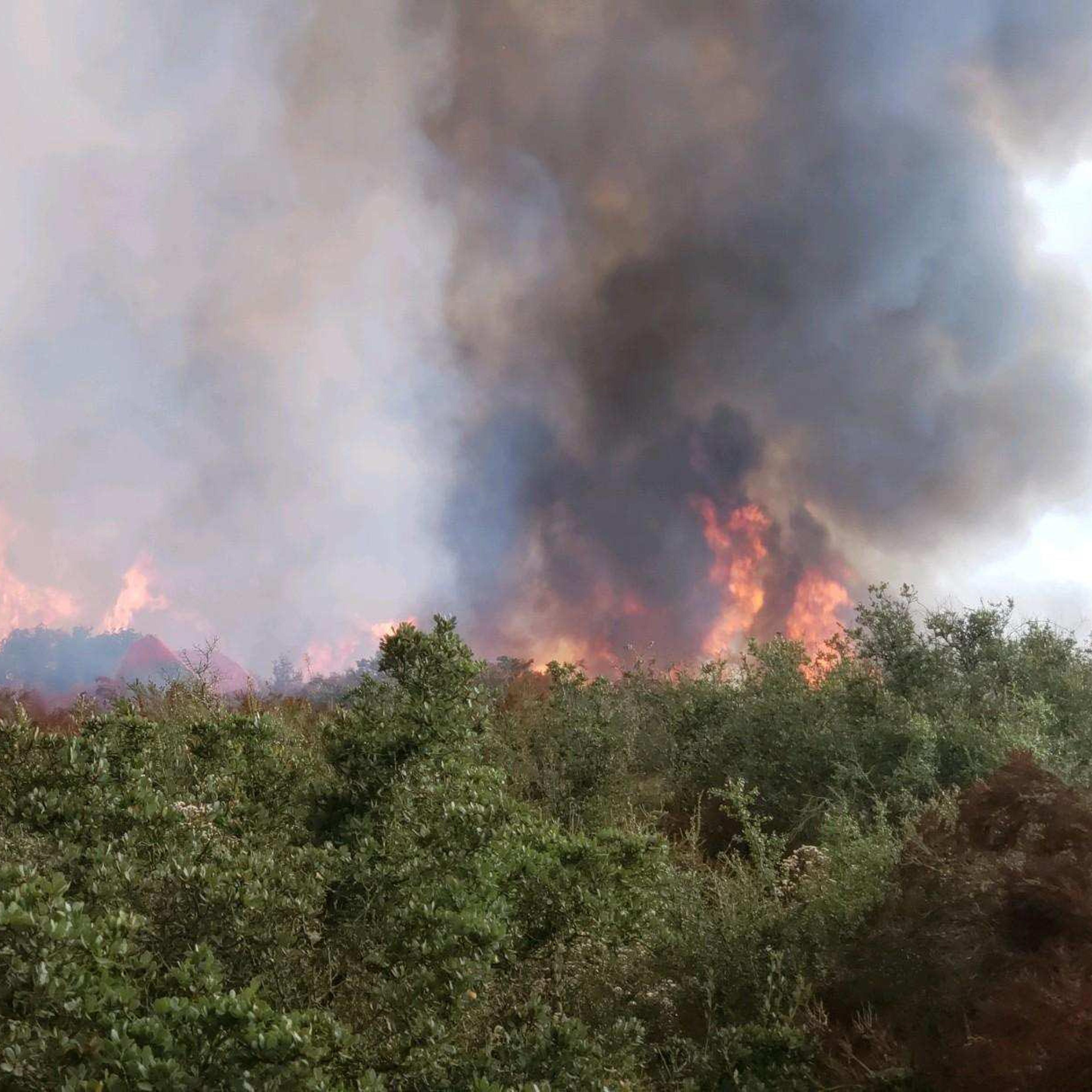 tejana fire