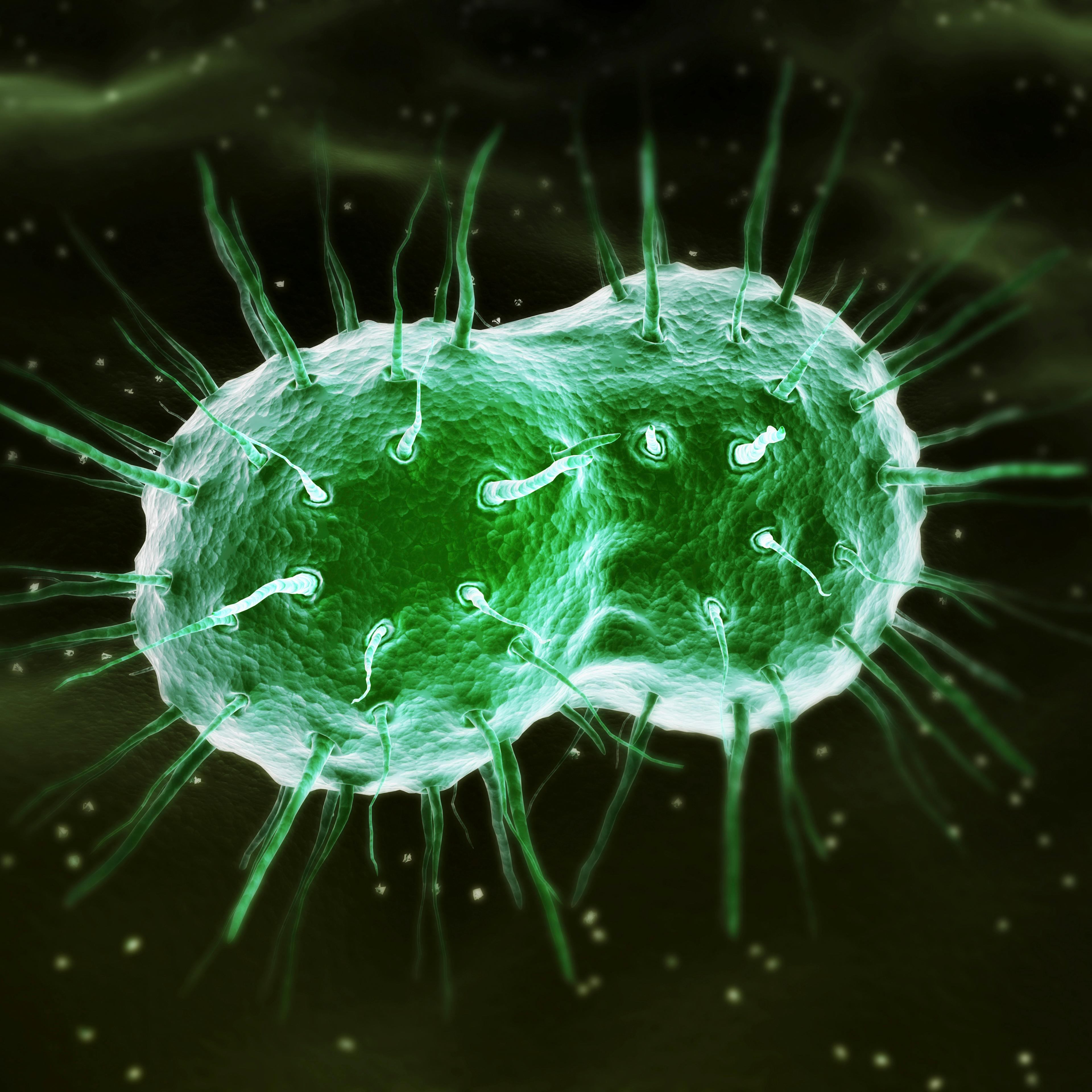 Gonorrhea